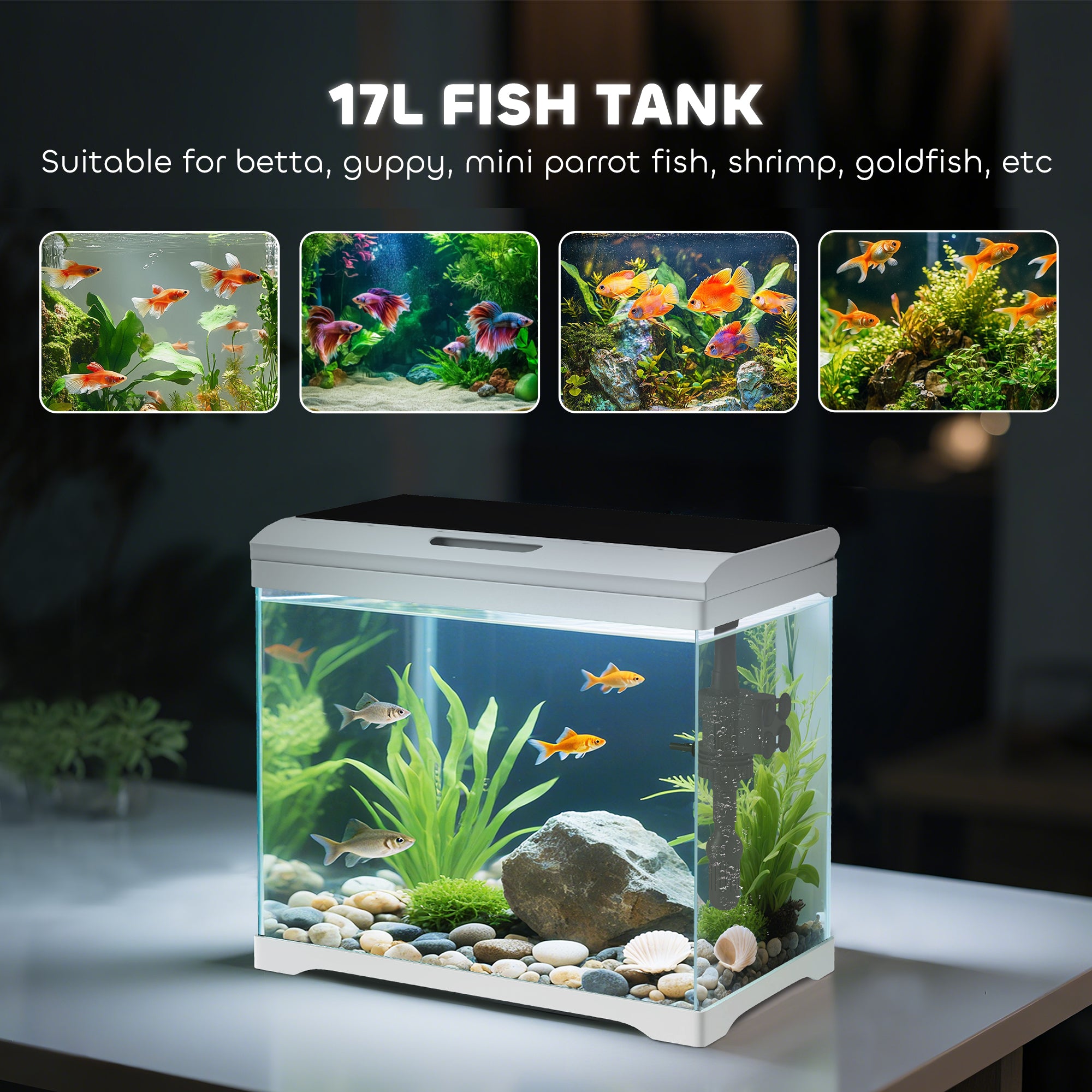 PawHut 17L Glass Fish Tank with Filter System, LED Light, Water Pump, for Betta, Goldfish, Shrimps, White - North Peak Garden Furniture