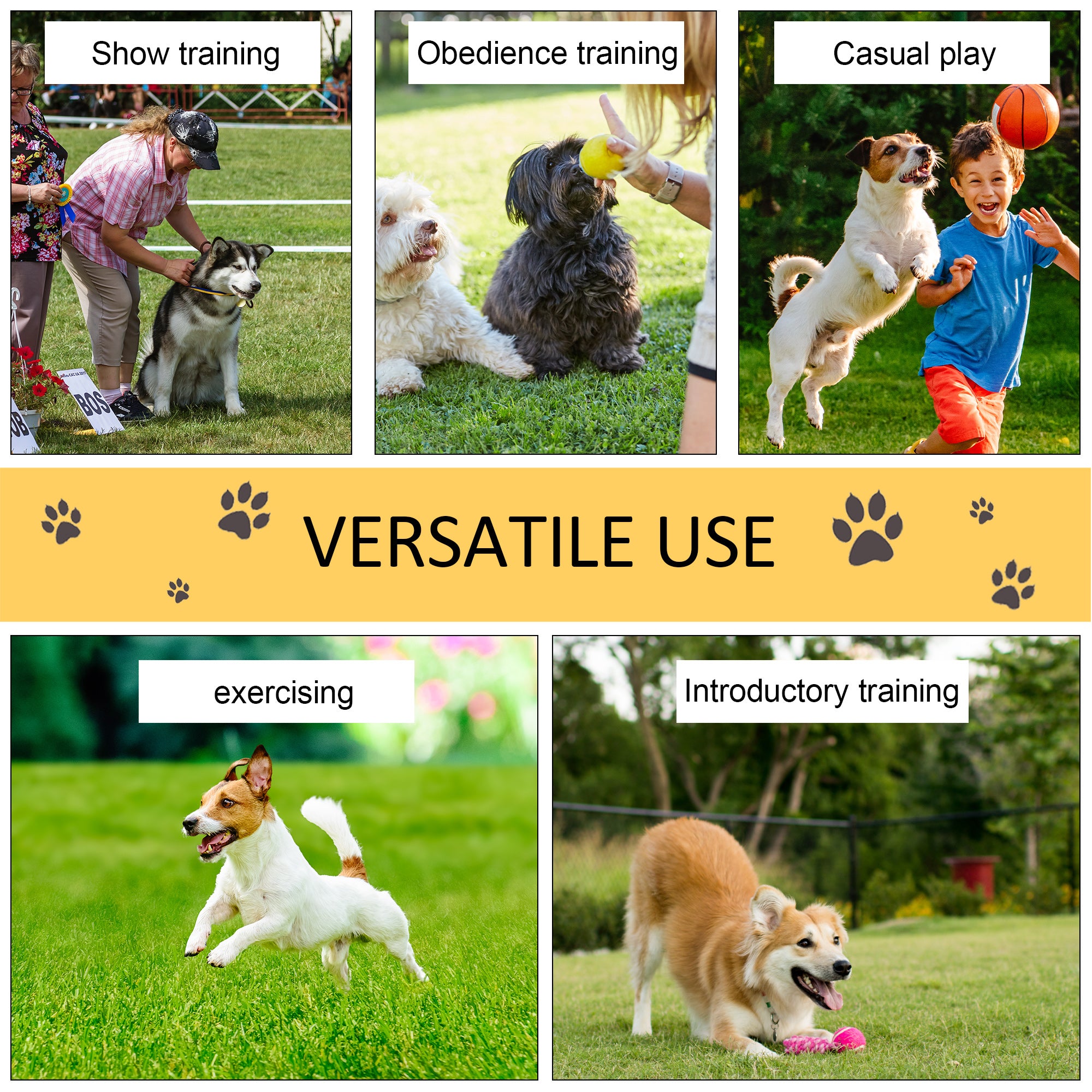 PawHut Pet Agility Training Equipment Dog Play Run Obedience Training Set Adjustable (Poles) - North Peak Garden Furniture