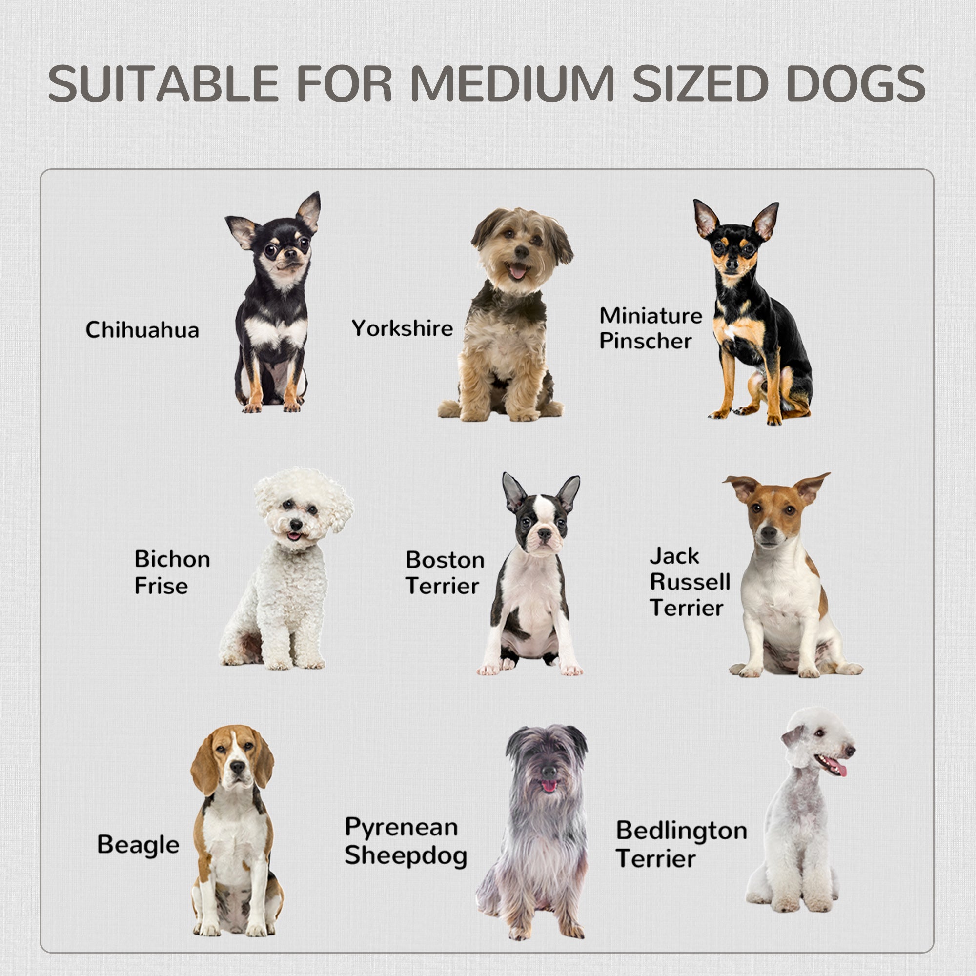 PawHut 2-in-1 Dog Cage and Side Table, with Two Lockable Doors, for Medium Dogs - White - North Peak Garden Furniture