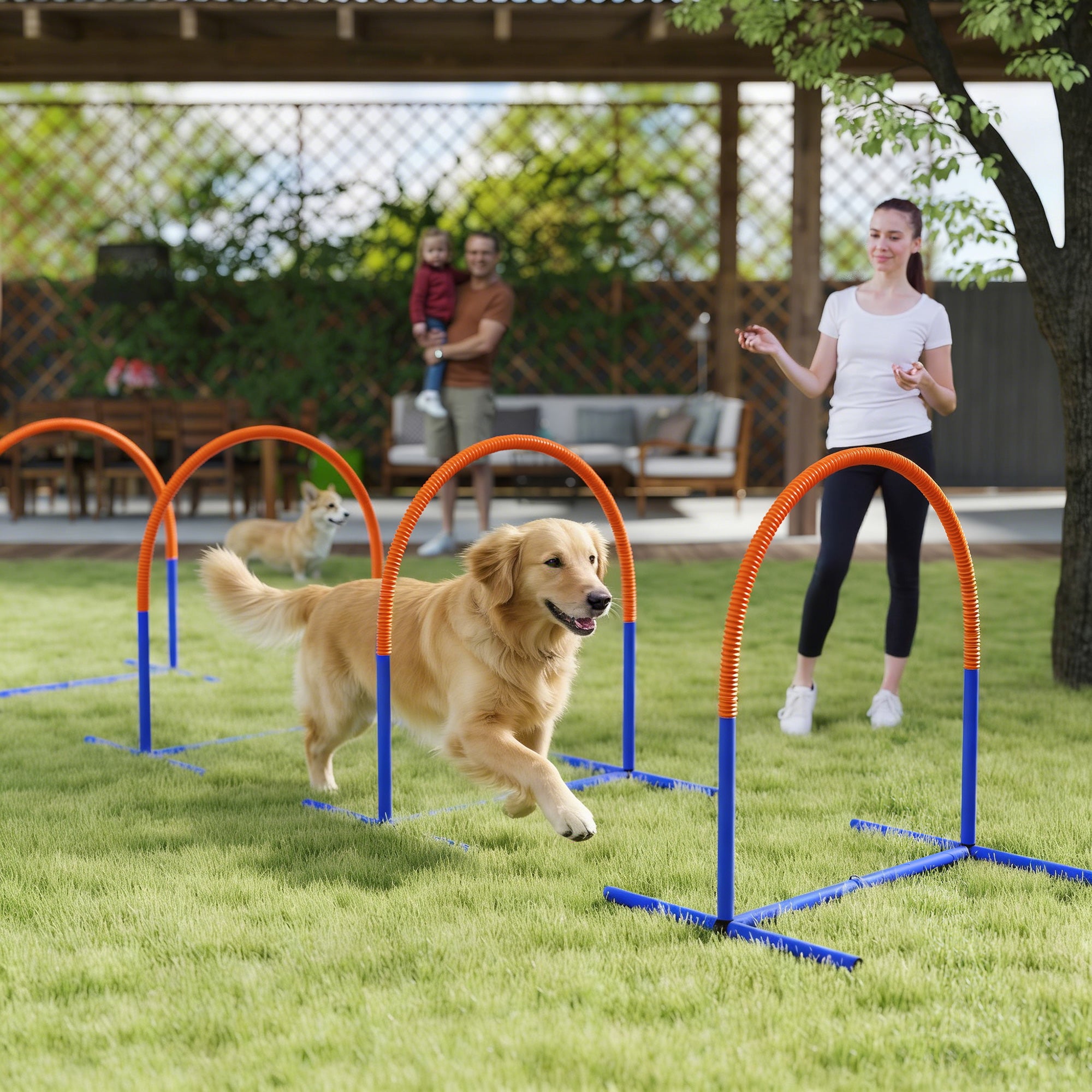 PawHut Four-Piece Portable Dog Agility Equipment - Blue