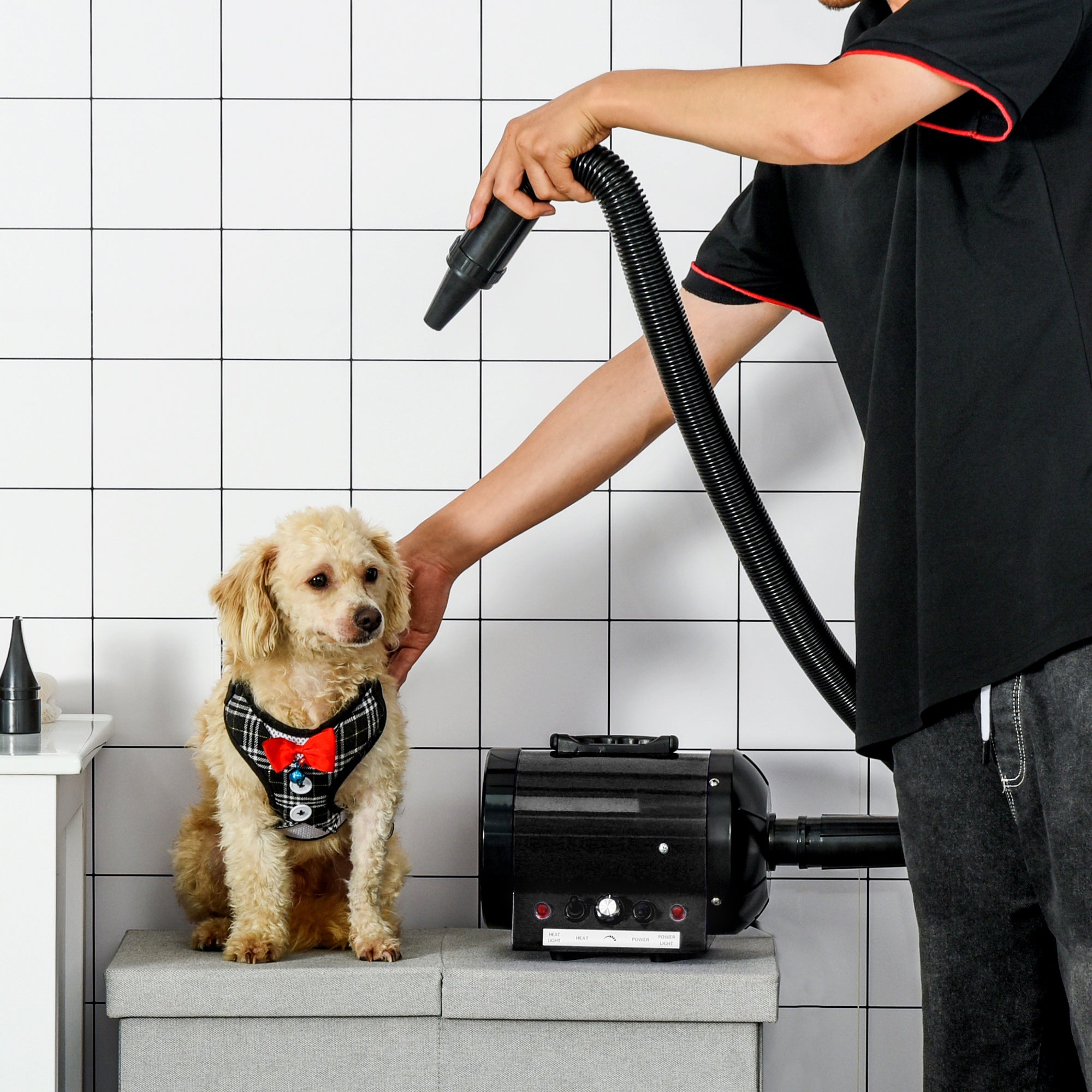 PawHut 2800W Dog Hair Dryer Pet Grooming Blaster Water Blower Dryer w/ 3 Nozzles, Black - North Peak Garden Furniture