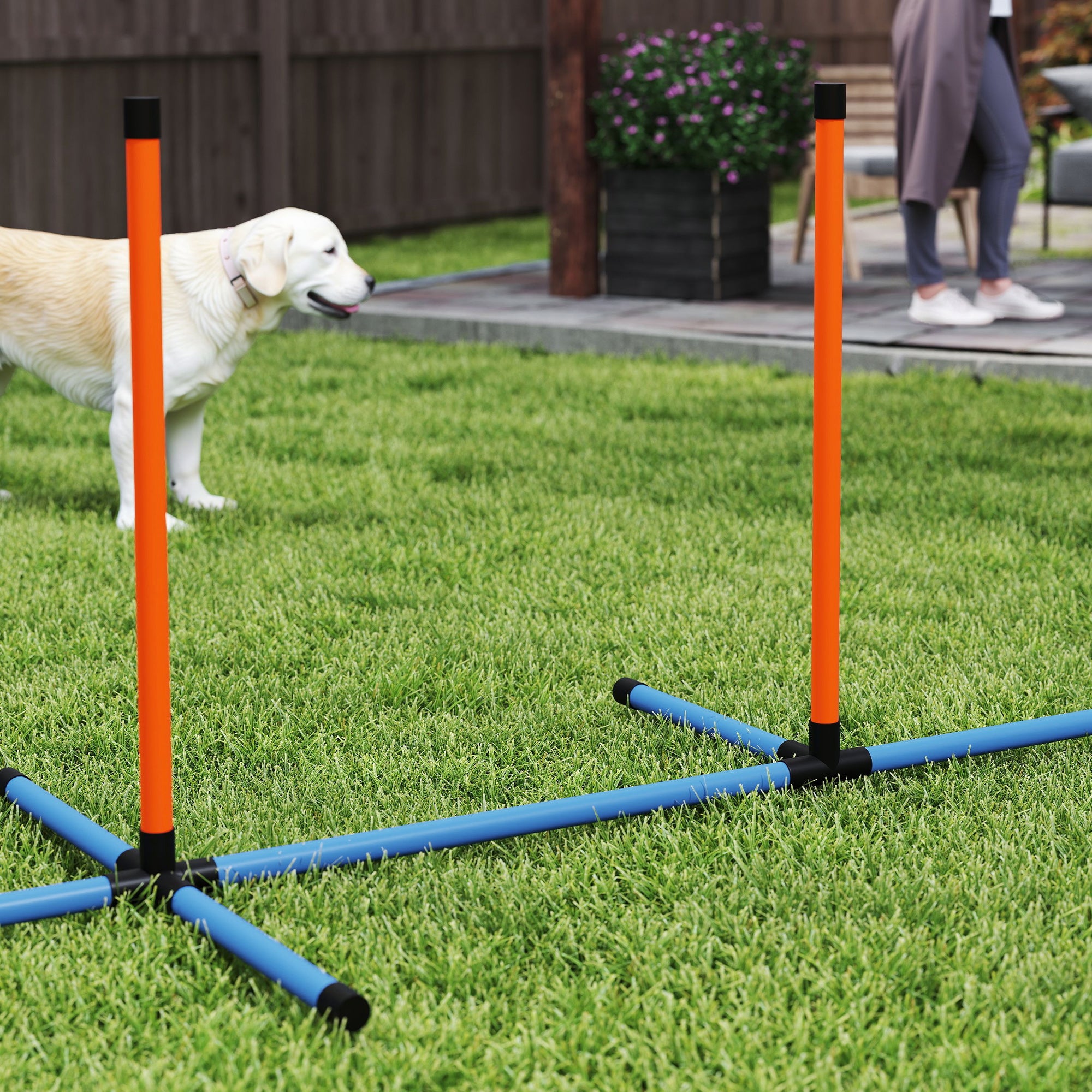 PawHut 7-Piece Dog Agility Equipment Set with Weave Poles, Jump Ring and Hurdle, Pause Box and Carry Bag, Orange - North Peak Garden Furniture