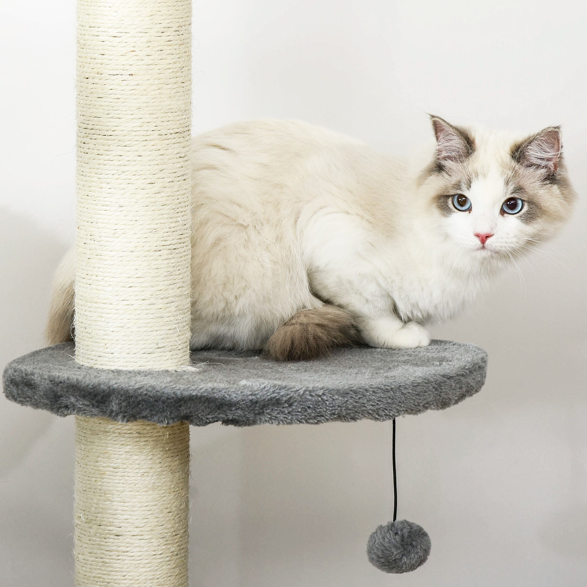 PawHut Floor to Ceiling Cat Tree for Indoor Cats, Kitten Tower, Condo, Multi-Layer Activity Center, Indoor Pet Play House with Solid Scratching Post Hanging Balls, Light Grey