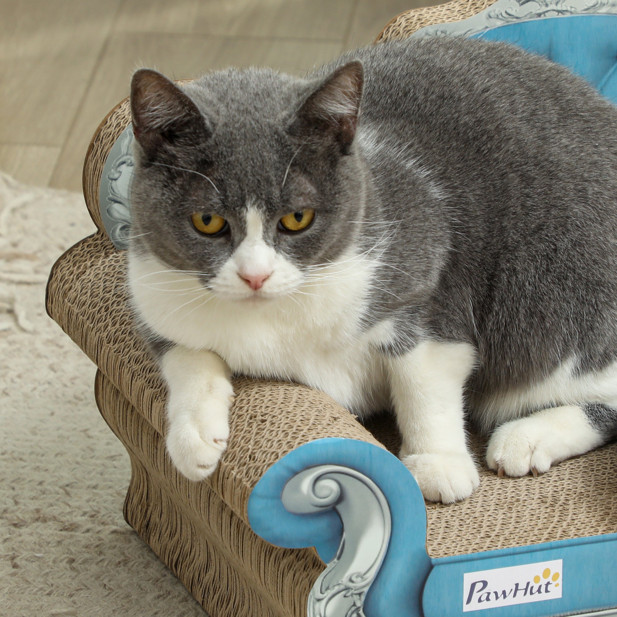 PawHut 2 in 1 Cat Scratcher with Catnip for Indoor Cats, 30.5 x 55 x 31.5cm, Light Blue - North Peak Garden Furniture