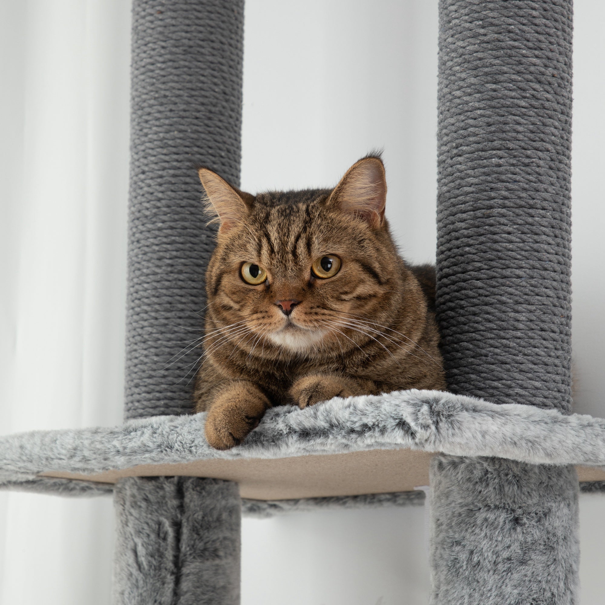 PawHut 225-255cm Height Floor-to-Ceiling Cat Tree Large Cat Tower w/ Cat Scratching Posts, Ramp, Condo - North Peak Garden Furniture