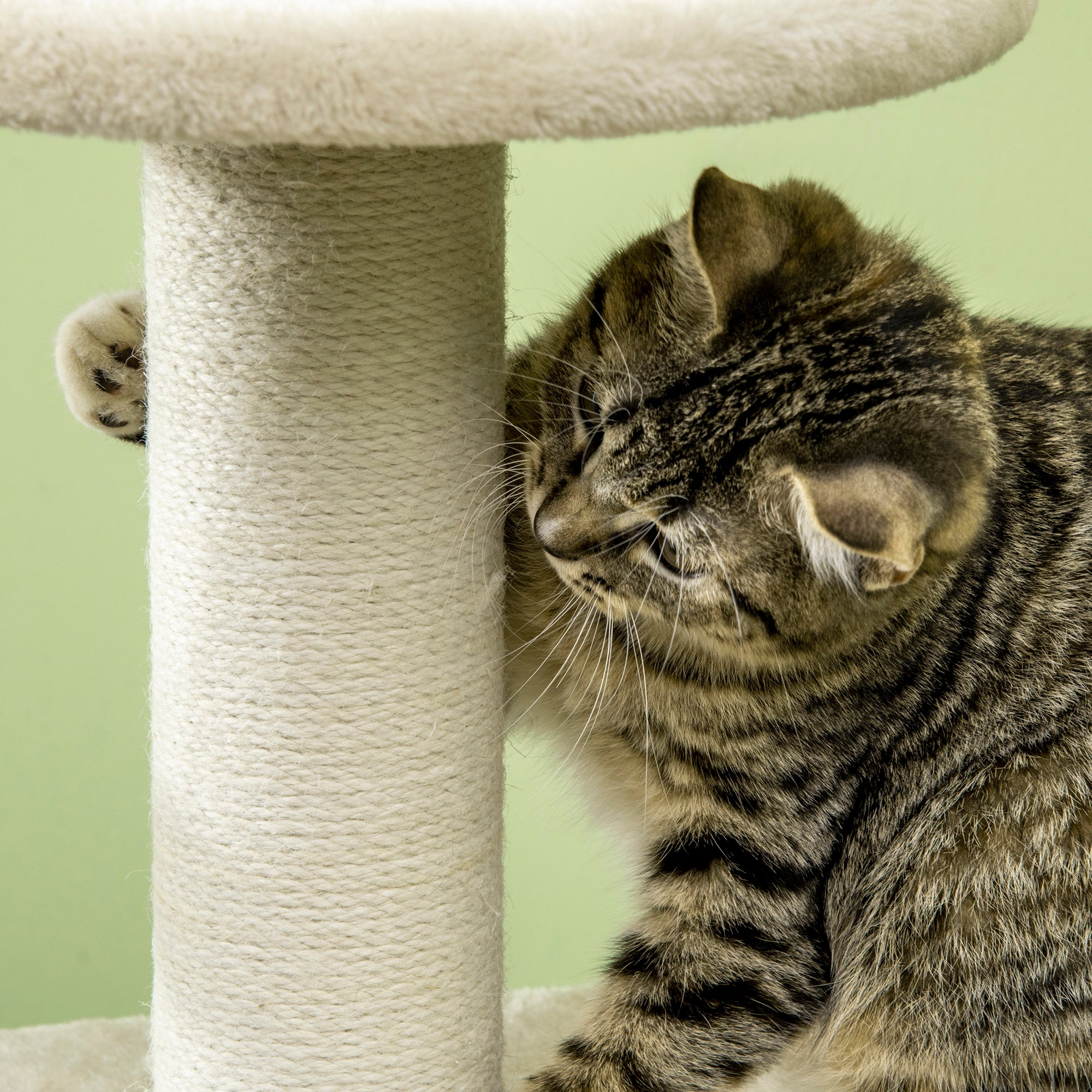 PawHut Cat Tree, with Scratching Post, Cat House & Hanging Toy Ball - Beige