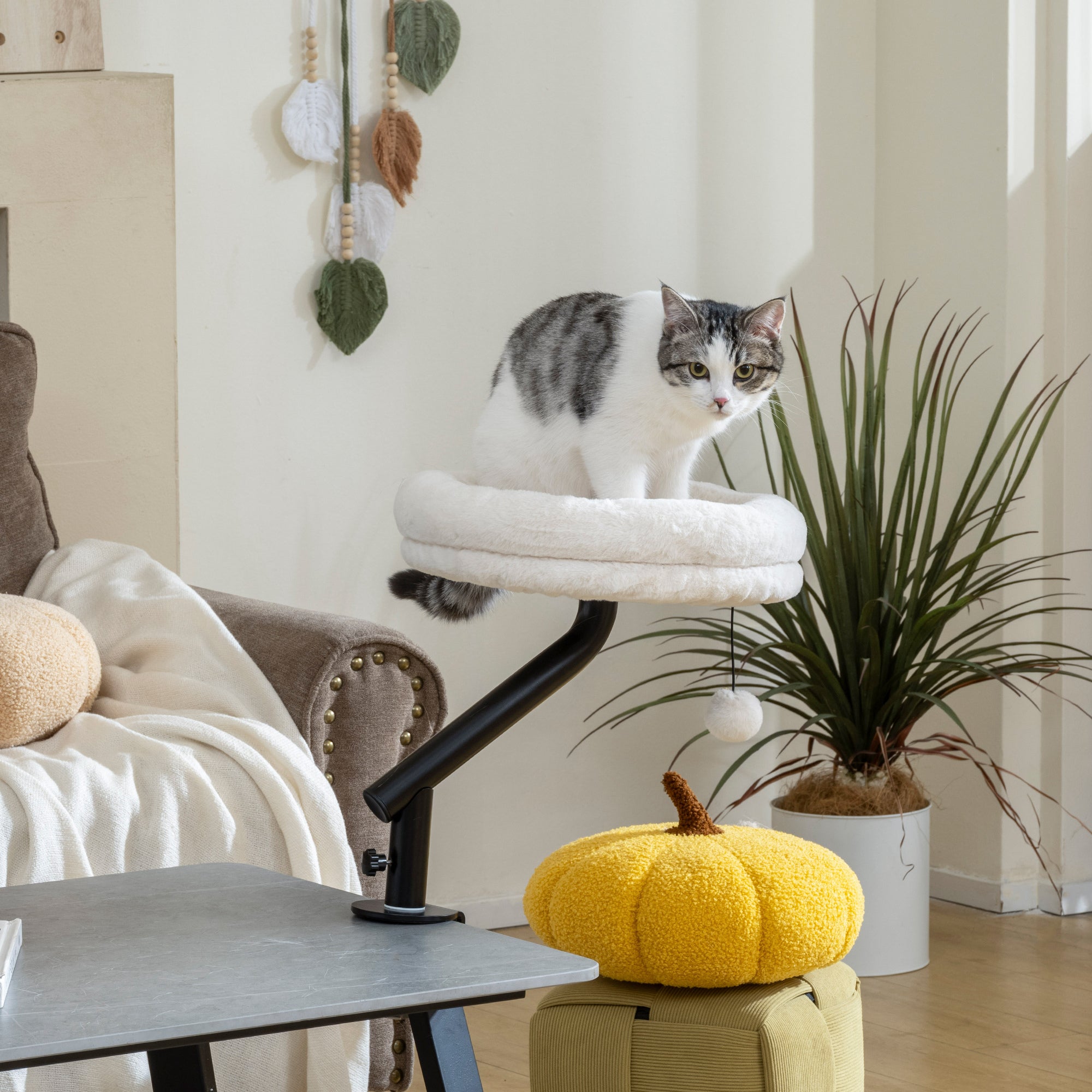 PawHut Cat Desk Bed, Cat Hammock 360° Rotatable Adjustable for Window, Table, Work, Cream White