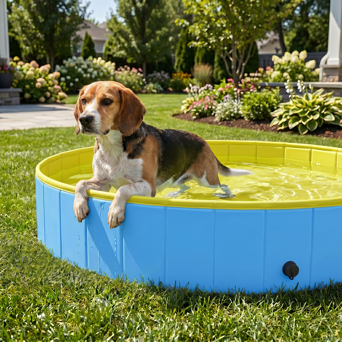 PawHut Foldable Dog Pool for Puppies and Ducks Dog Paddling Pool Bath Tub, Blue, 120 x 30cm