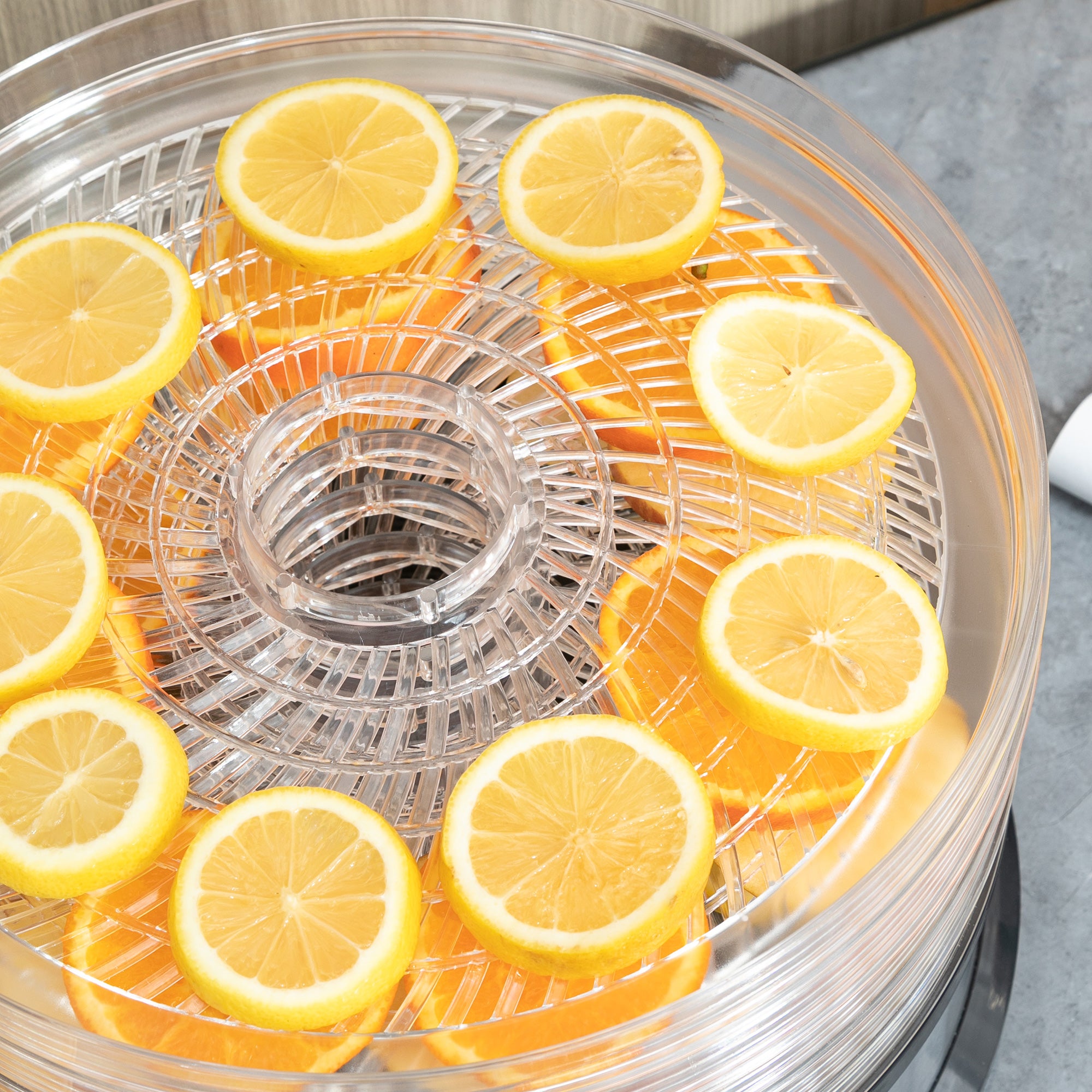 HOMCOM 40-70℃ Five-Tray Food Dehydrator - North Peak Garden Furniture
