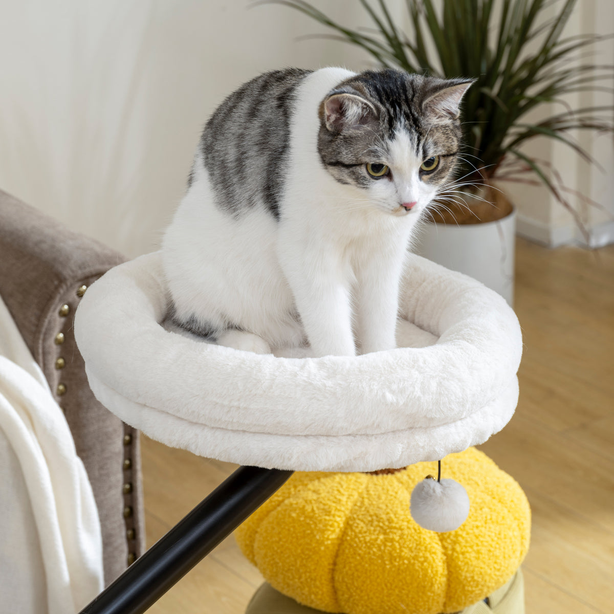 PawHut Cat Desk Bed, Cat Hammock 360° Rotatable Adjustable for Window, Table, Work, Cream White
