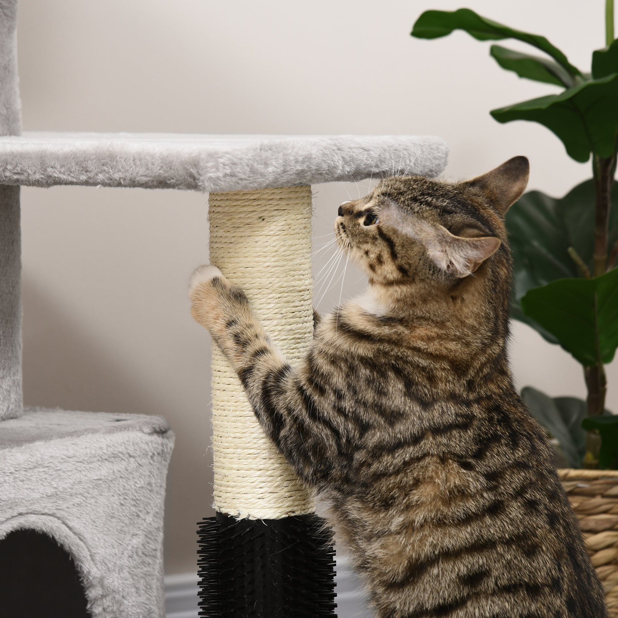 PawHut Cat Tree for Indoor Cats Climbing Tower Kitten Scratch Post Activity Center Kitten with Massage Toy Hanging Ball Bed Condo Perch 48 x 48 x 85cm Grey - North Peak Garden Furniture