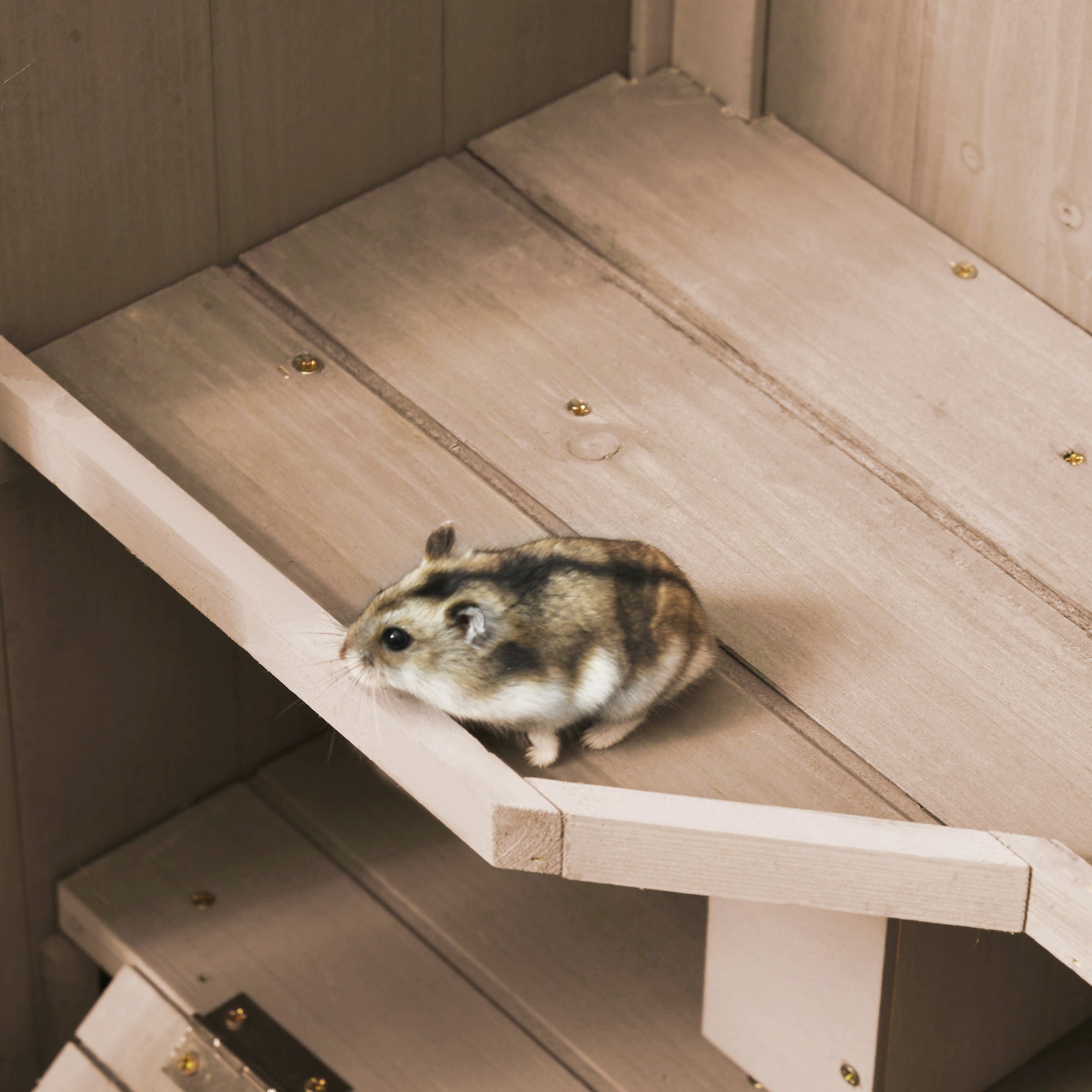 PawHut Wooden Hamster Cage, Mice Rodent Small Animals Kit Hutch, 3 Tiers Exercise Play House, with Wheels, Bottom Tray, 99 x 50 x 69 cm, Natural Wood - North Peak Garden Furniture