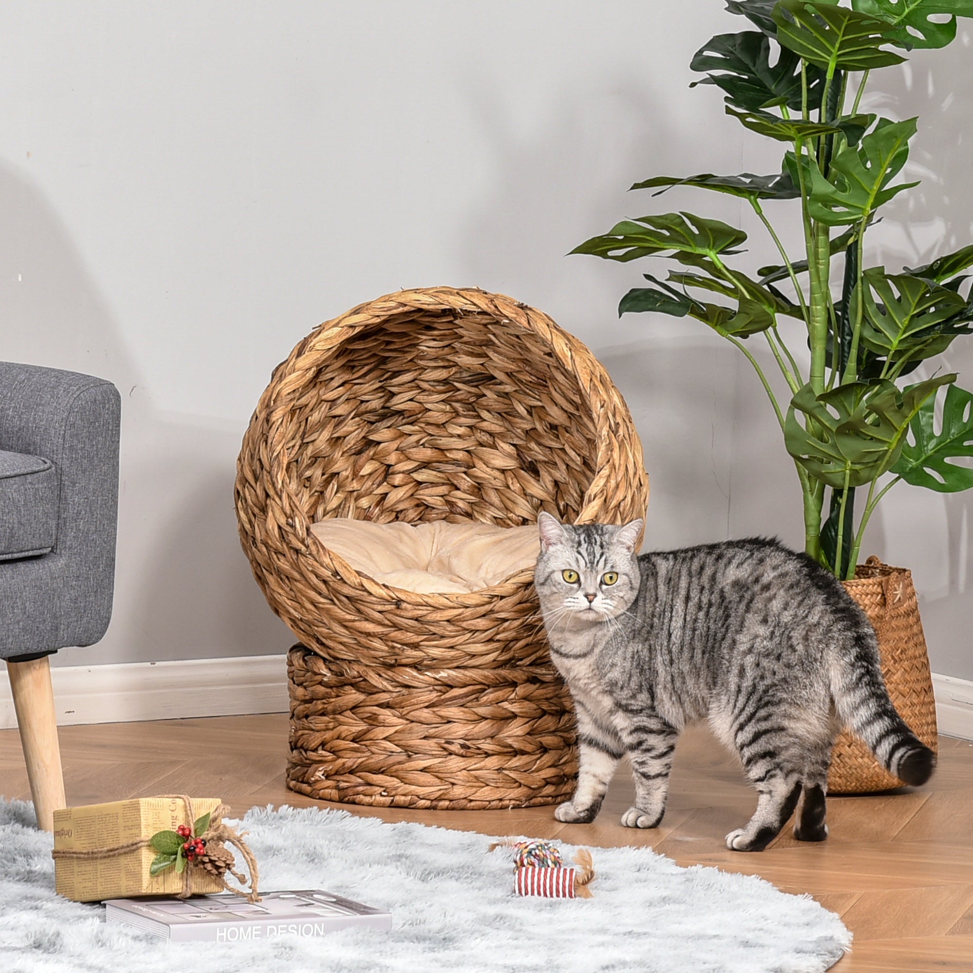 PawHut Wicker Cat Bed, Raised Rattan Cat Basket with Cylindrical Base, Soft Washable Cushion, 50 x 42 x 60 cm - Brown - North Peak Garden Furniture