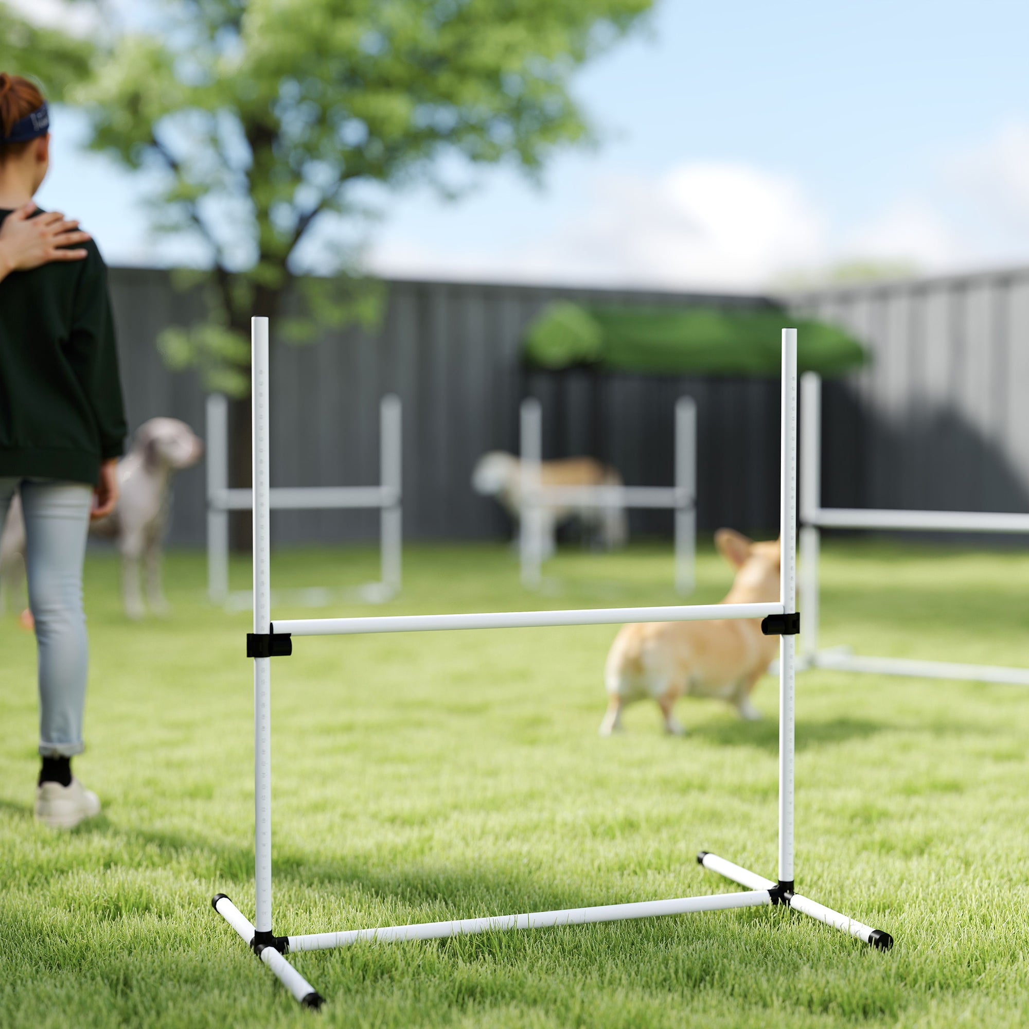 PawHut Dog Agility Equipment Training Height Adjustable Jumps Hurdle 4 Pieces with Carrying Bag for Outdoor
