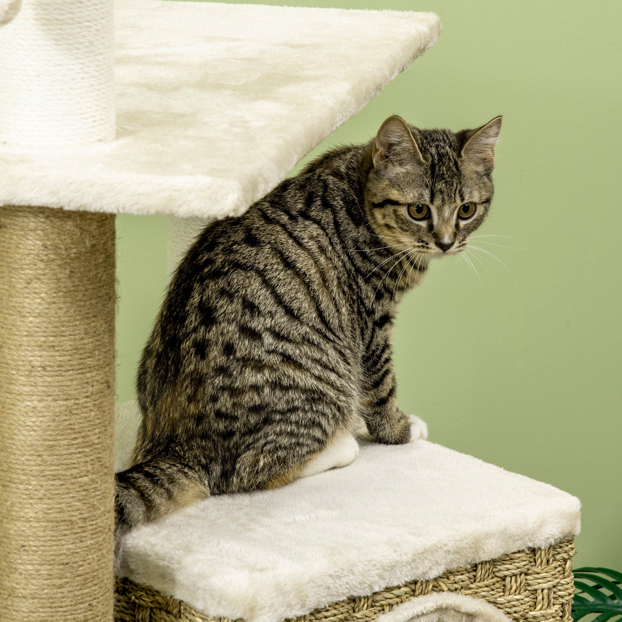 PawHut Cat Tree, with Scratching Post, Cat House & Hanging Toy Ball - Beige - North Peak Garden Furniture