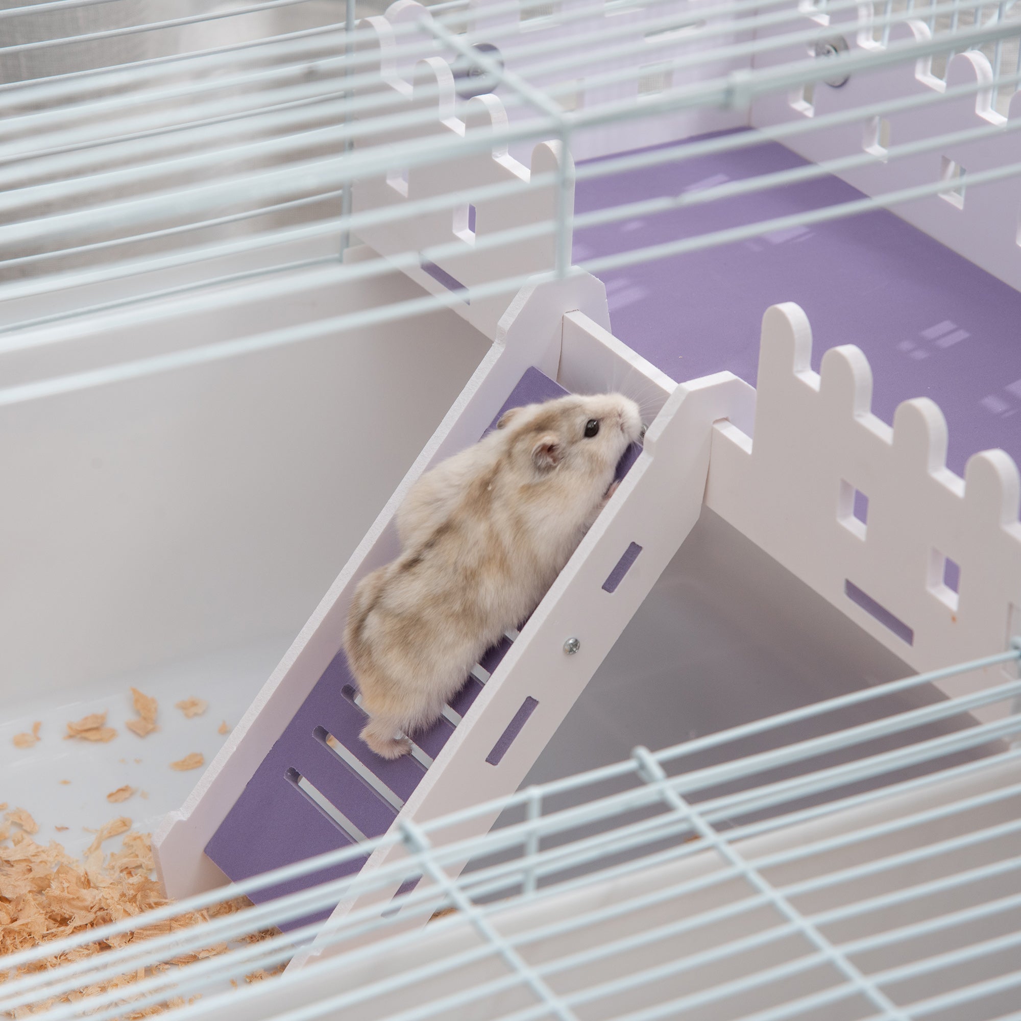 PawHut 2 Tier Hamster Cage Rodent House Small Animal Habitat with Exercise Wheel Water Bottle Ladder, White - North Peak Garden Furniture