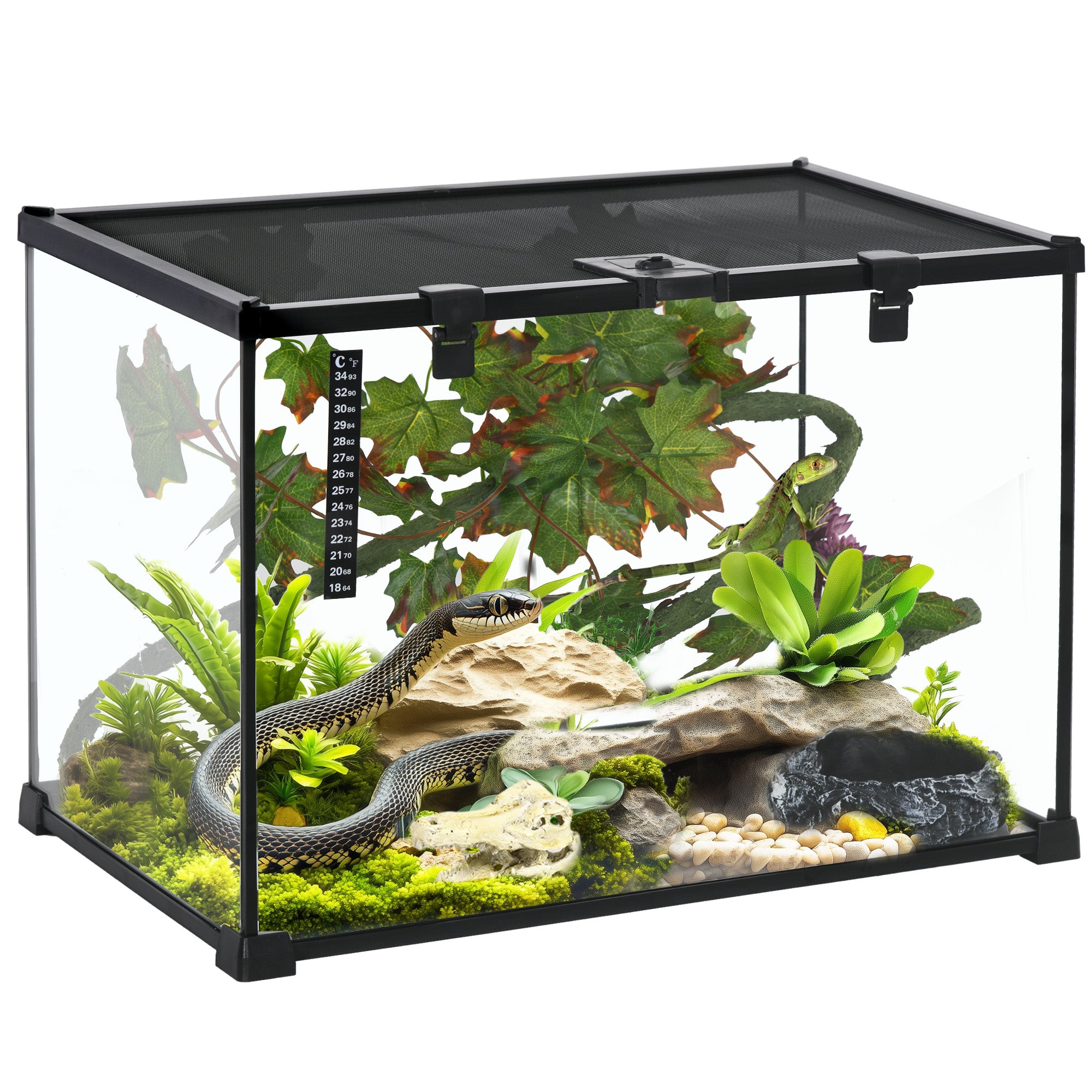 PawHut Glass Reptile Terrarium with Decor Kit, Breeding Tank with Thermometer for Small Animals, 50 x 30 x 35cm, Heated - Black - North Peak Garden Furniture