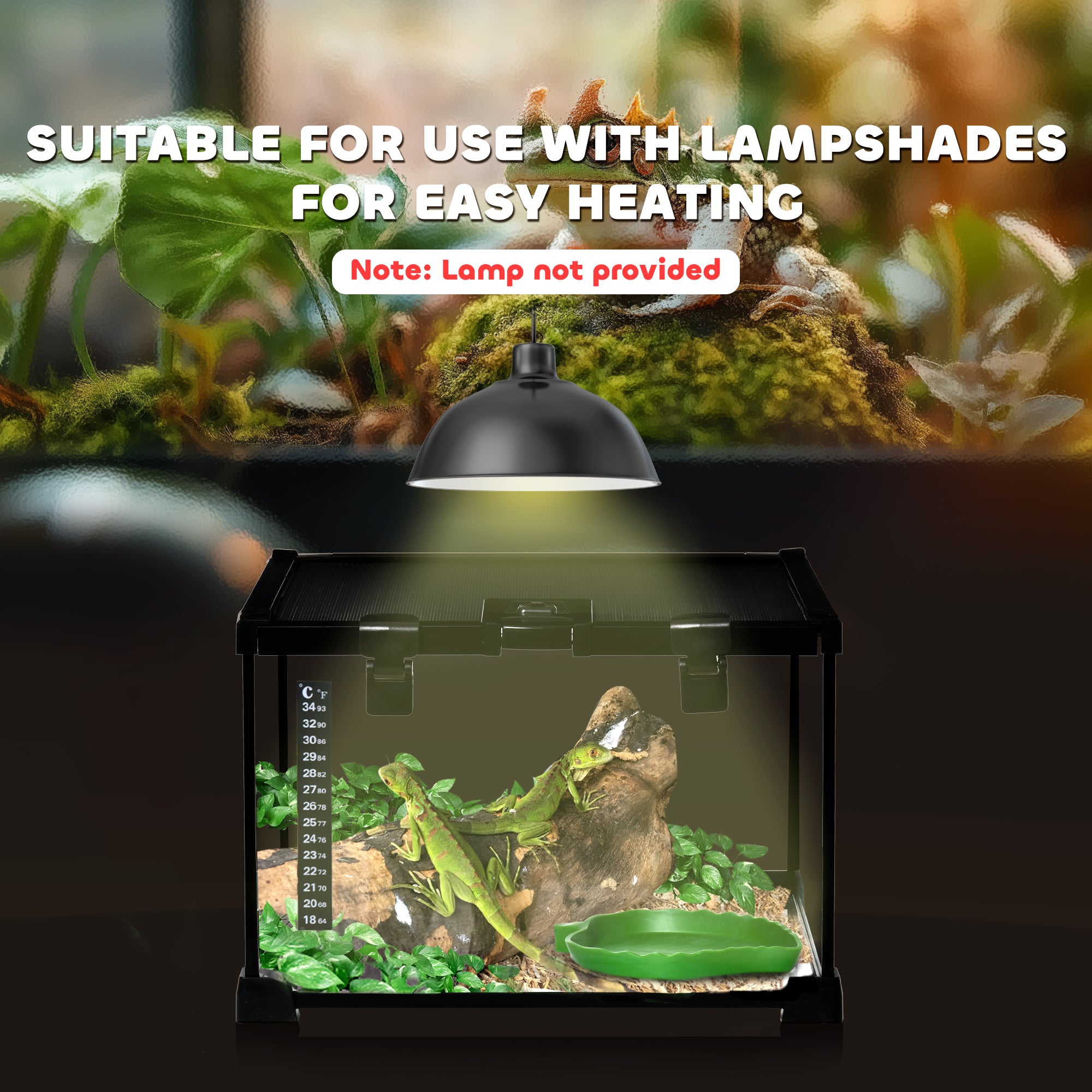 PawHut Glass Reptile Terrarium Insect Breeding Tank Vivarium Habitats with Thermometer for Lizards, Horned Frogs, Snakes, Spiders - Small 30 x 30 x 20cm - North Peak Garden Furniture