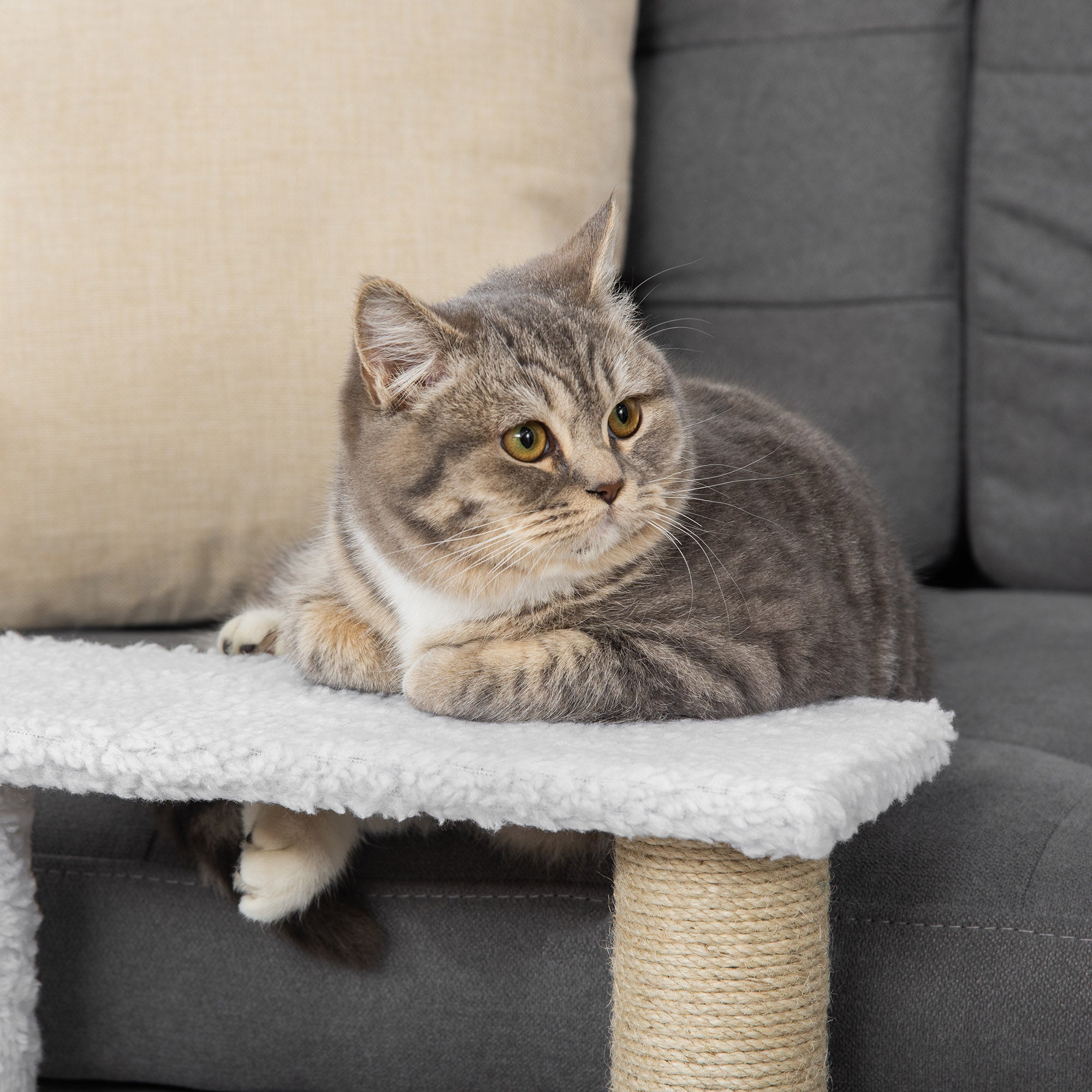 PawHut Pet Stair with 3-step Climb Ladder, Scratching Posts, Platforms, Toy Ball, for Indoor Elderly Cats Kittens, White - North Peak Garden Furniture