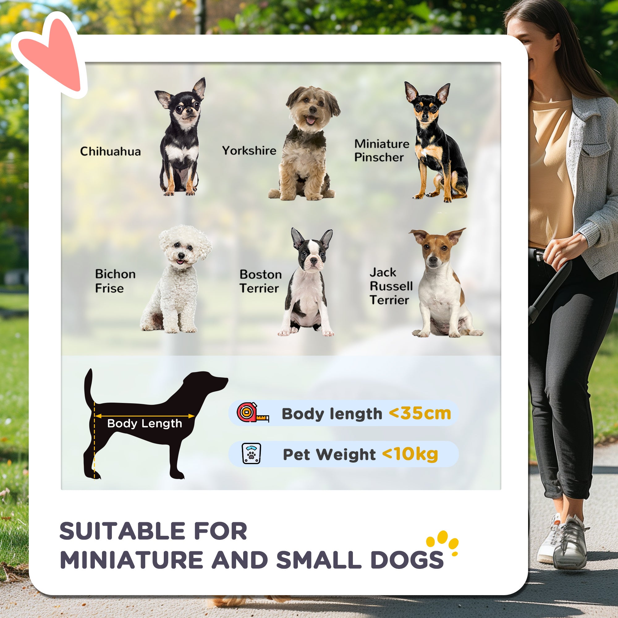 PawHut 3 In 1 Detachable Pet Stroller, for Extra Small and Small Dogs - Black - North Peak Garden Furniture