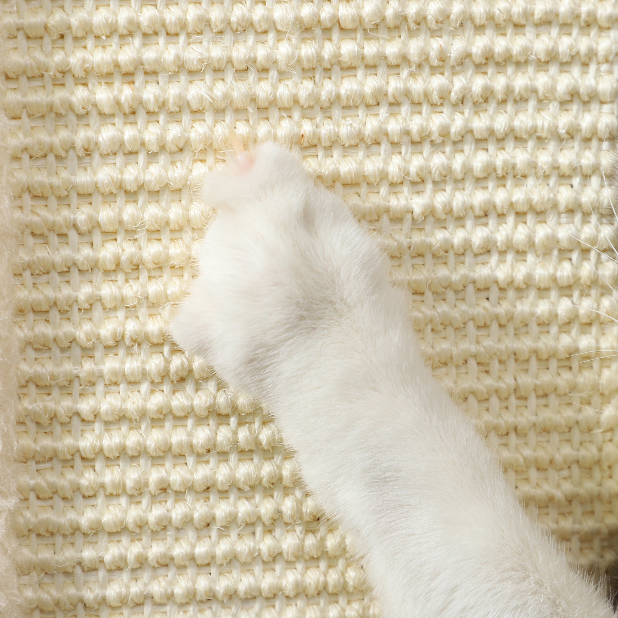 PawHut 3-in-1 Cat Scratching Post, 67cm Cat Scratcher w/ Track Ball Toy, Oak Tone - North Peak Garden Furniture