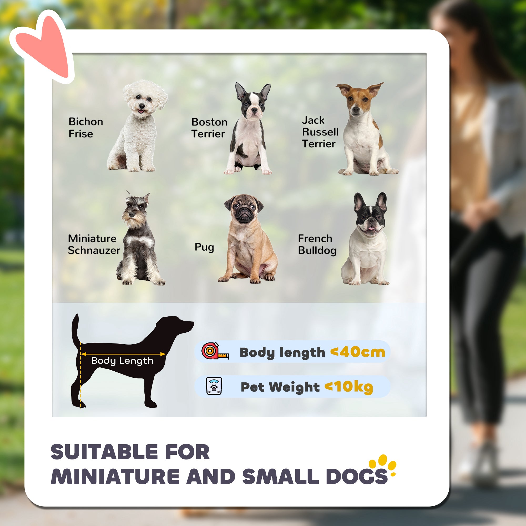 PawHut Foldable Dog Stroller, Pet Travel Crate, with Detachable Carrier, Soft Padding, for Mini, Small Dogs - Grey - North Peak Garden Furniture