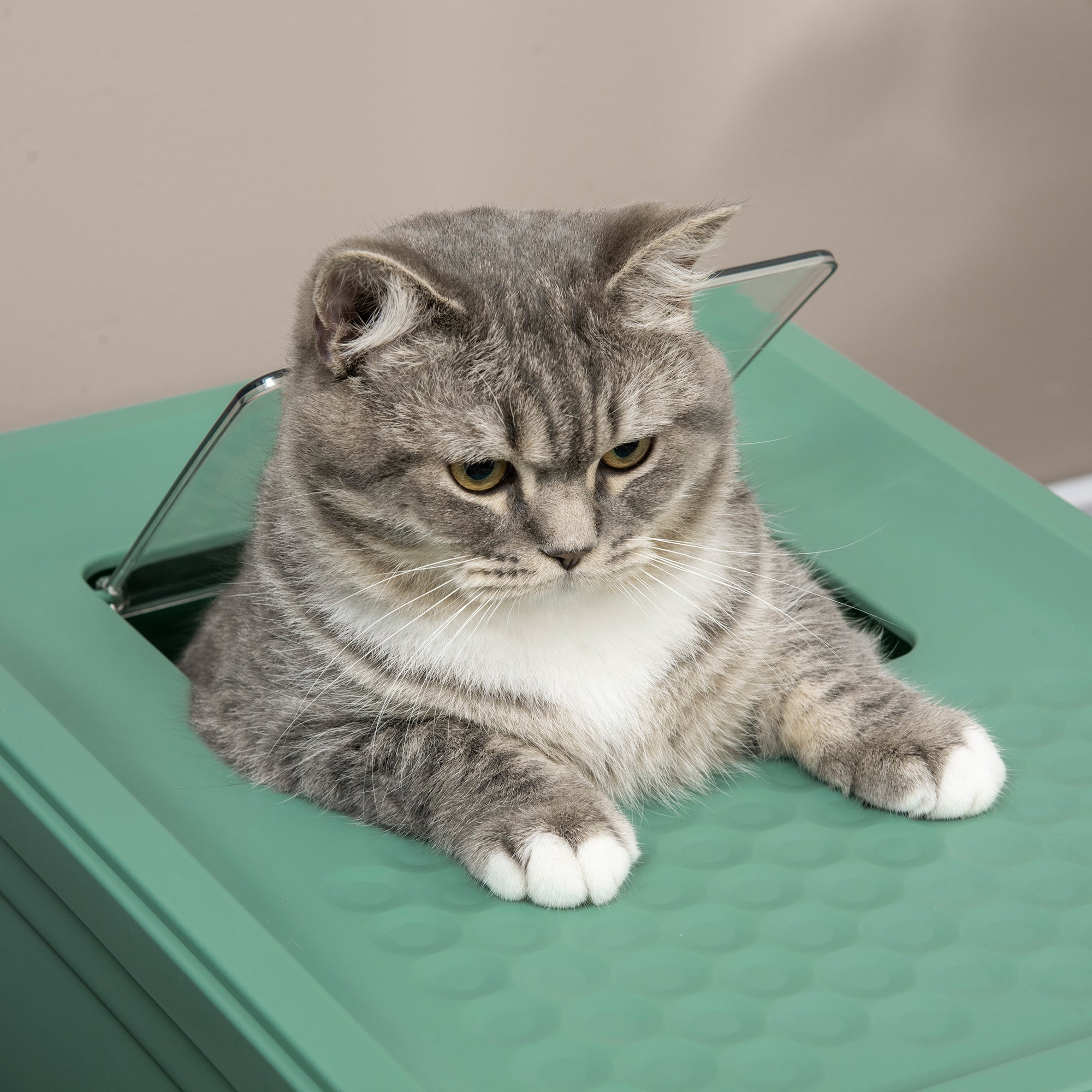 PawHut Hooded Cat Litter Box, Portable Pet Toilet, with Scoop, Front Entry - Green - North Peak Garden Furniture