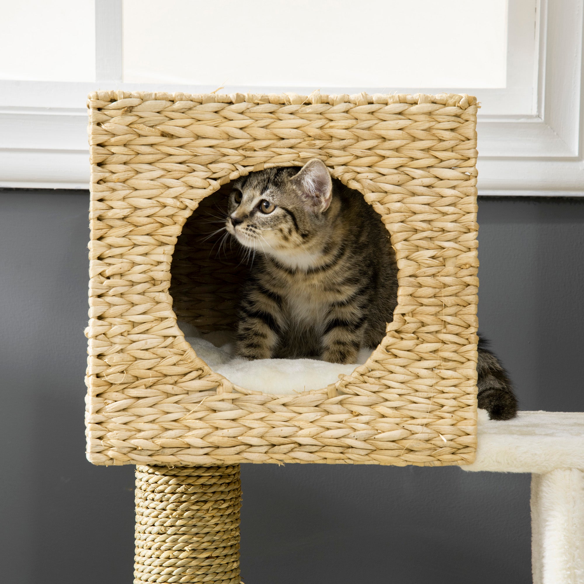 PawHut Cat Tree, with Scratching Posts, Bed, Cat House - Natural Finish - North Peak Garden Furniture