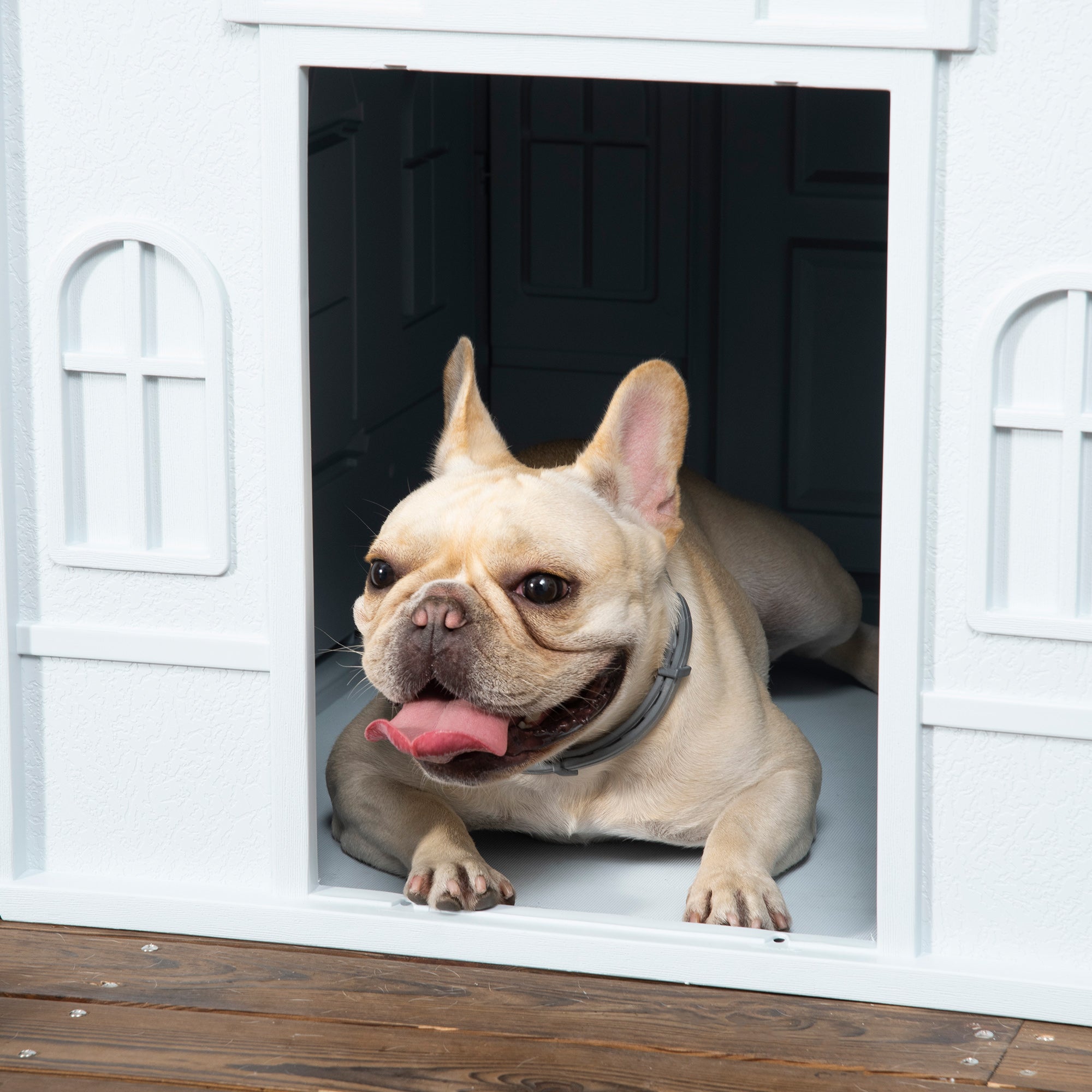 PawHut Plastic Weather-Resistant Dog House, for Indoors and Outdoors, Medium Dogs - White and Blue - North Peak Garden Furniture