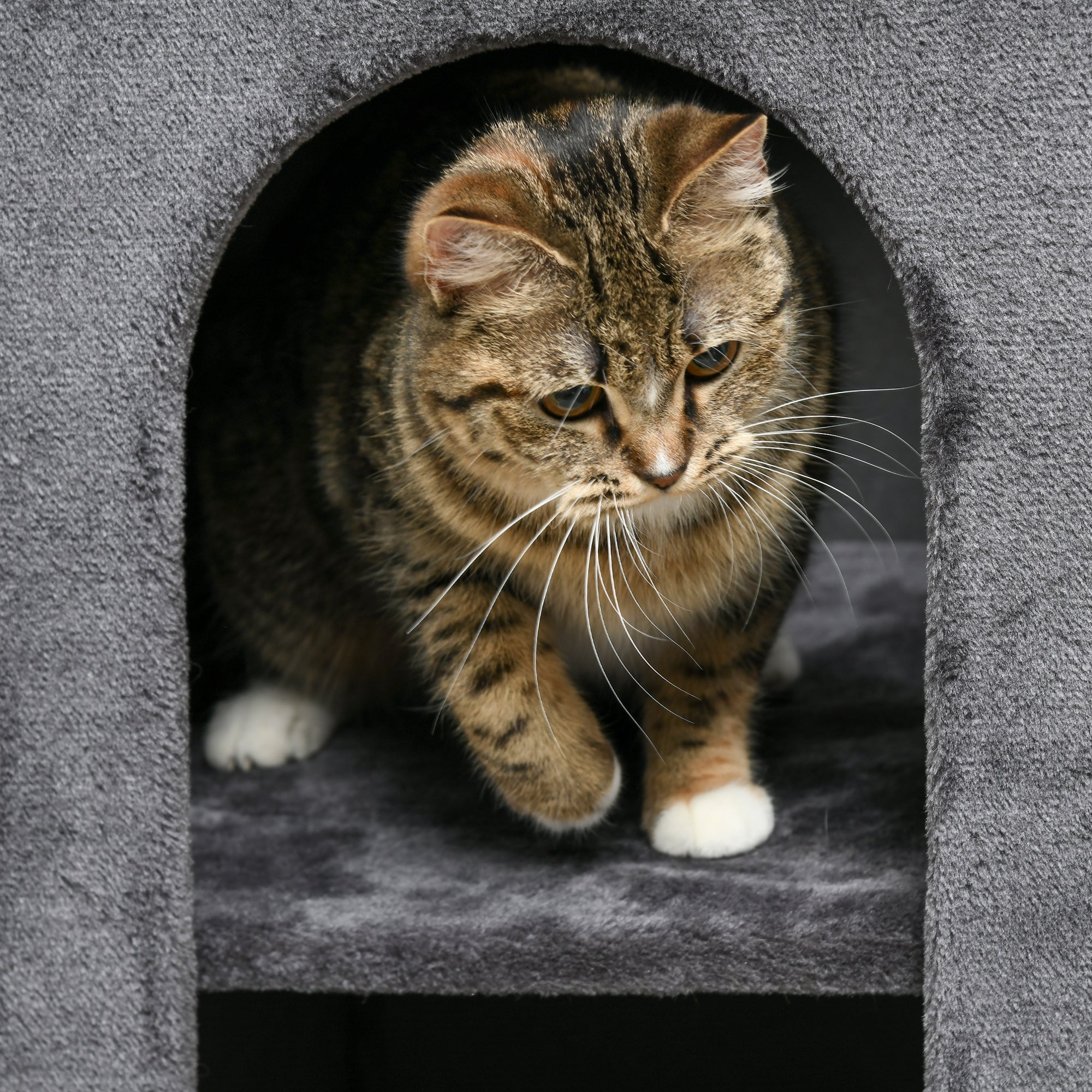 PawHut 81cm Cat Scratching Barrel, with Two Cat Houses for Indoor Cats, Grey - North Peak Garden Furniture