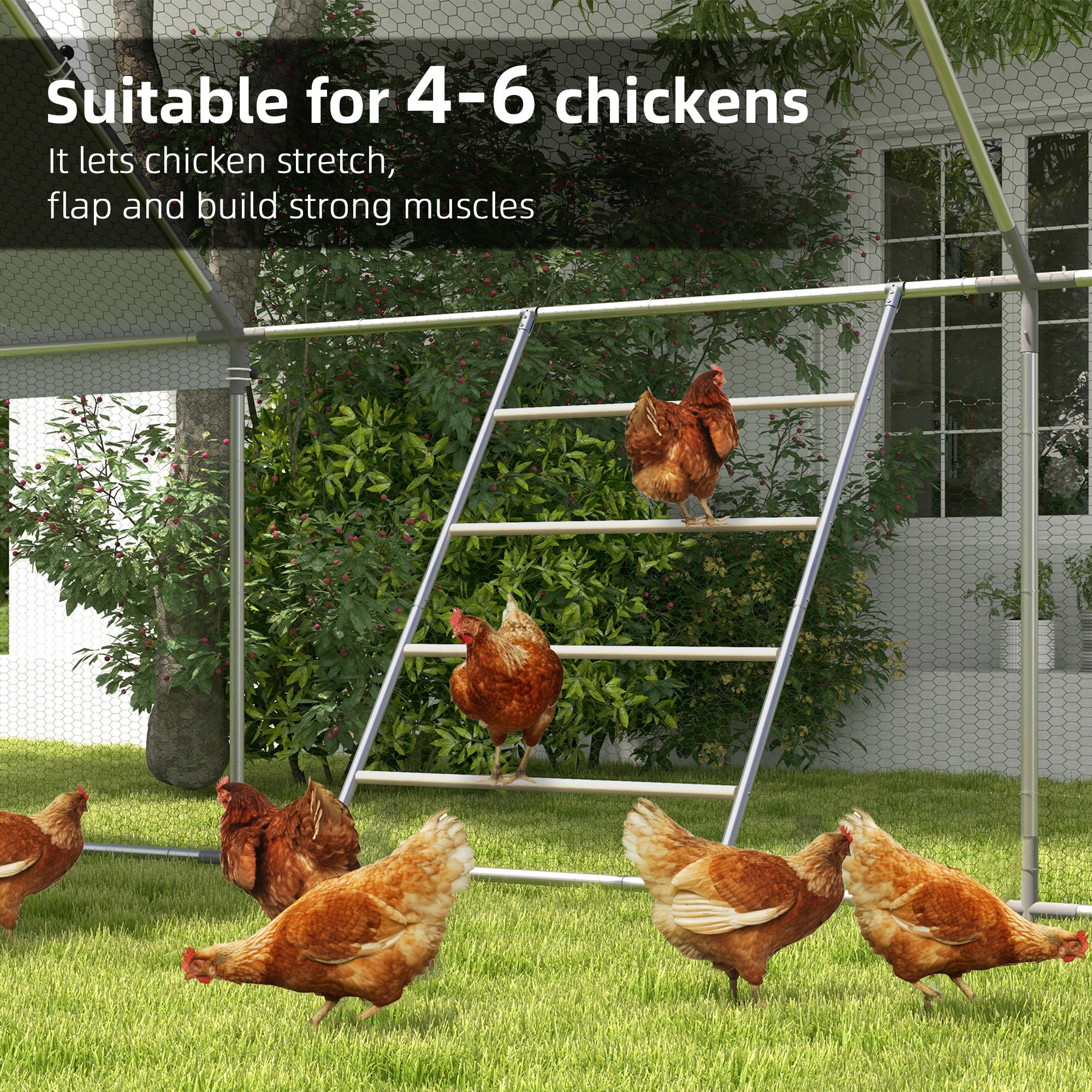 PawHut Chicken Perch for Coop, Wooden and Galvanised Steel Roosting Bar Jungle Gym, Chicken Roosting Ladder for Backyard Farm