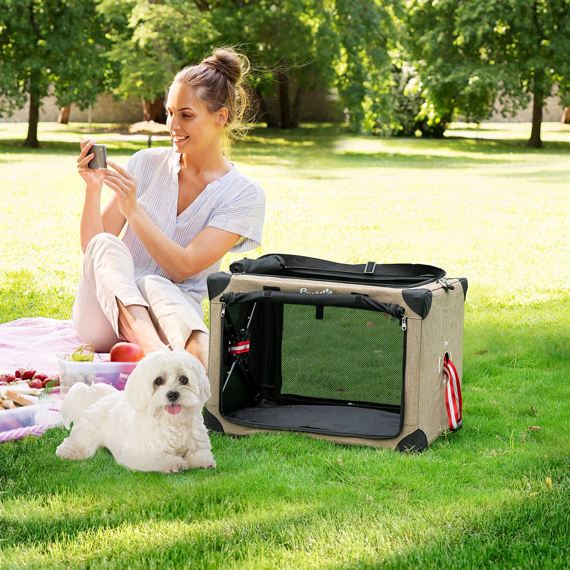 PawHut Foldable Pet Carrier, with Cushion, for Small Dogs and Cats - North Peak Garden Furniture
