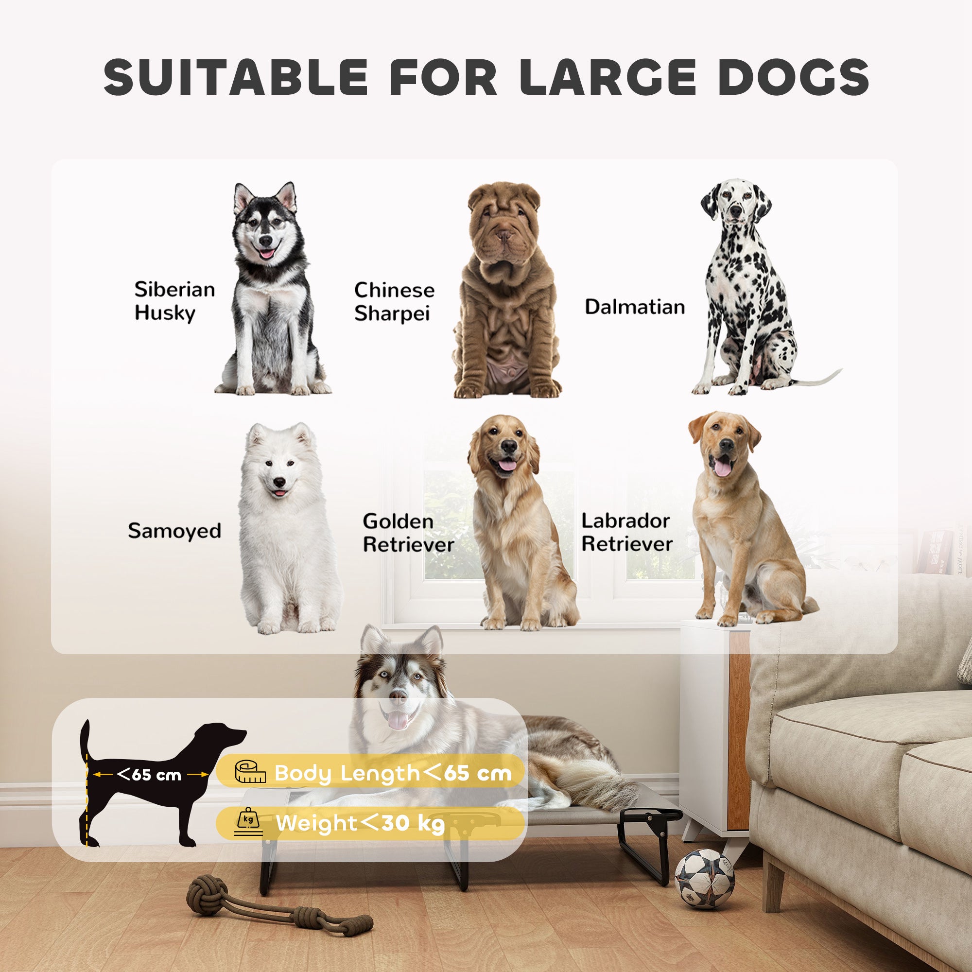 PawHut Portable Raised Dog Bed, Elevated Pet Cot with Breathable Mesh for Indoor Outdoor, for Large Dogs, Light Grey - North Peak Garden Furniture