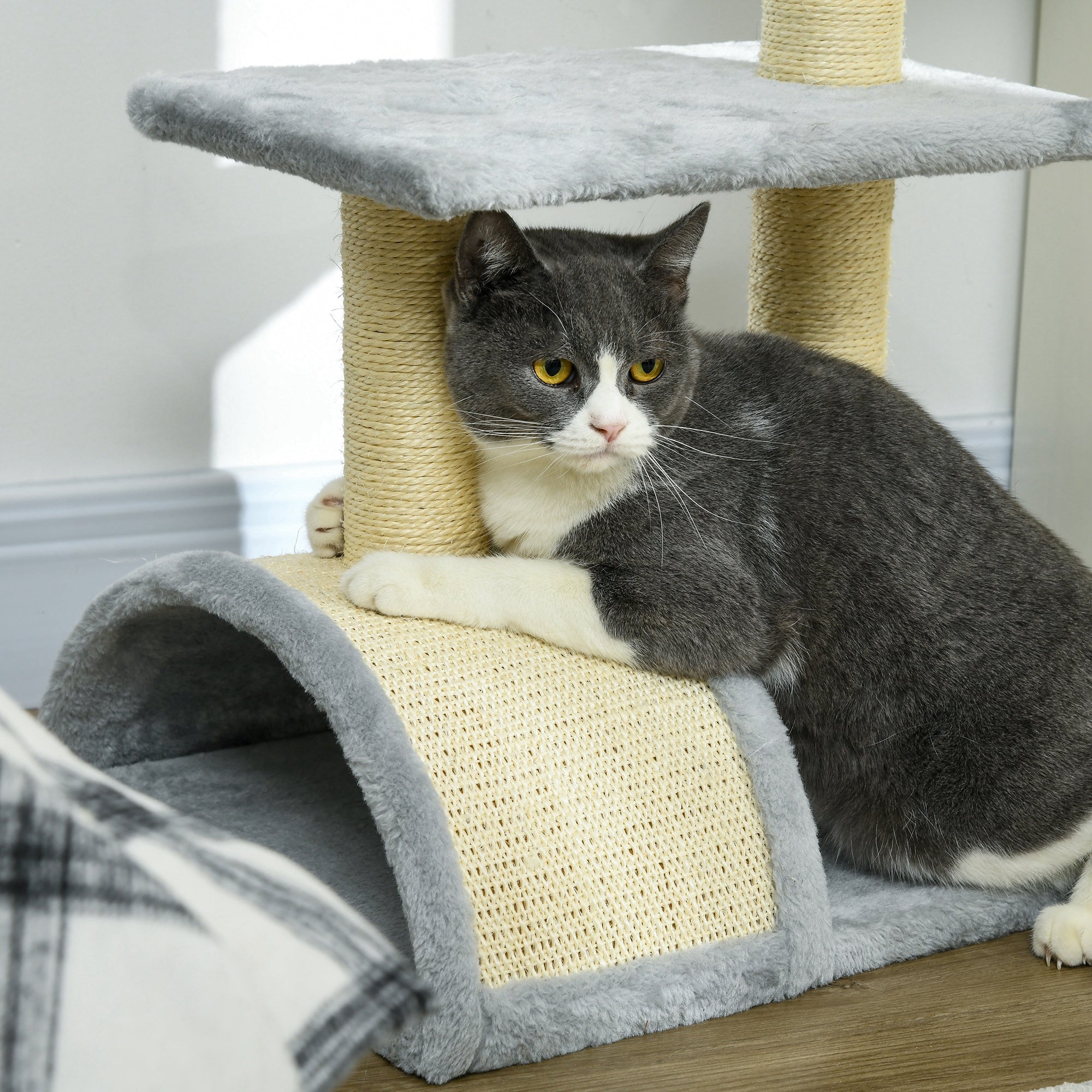 PawHut 72cm Cat Tree with Scratching Post, Pad for Indoor Cats - Light Grey - North Peak Garden Furniture