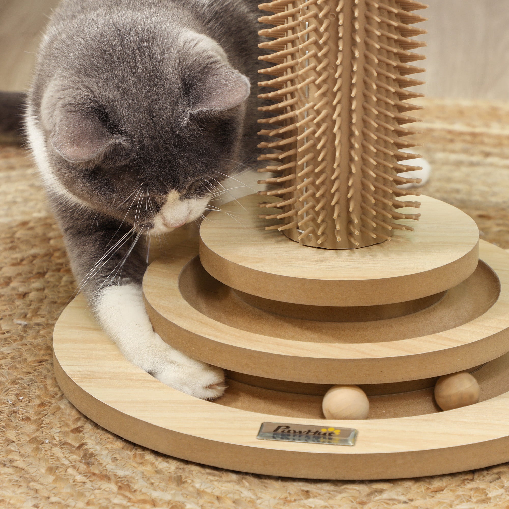 PawHut 49cm 5 in 1 Cat Scratching Post with Sisal Post, Track Ball, Self Grooming Brush, Hanging Toy Ball, Feather, Oak Tone - North Peak Garden Furniture