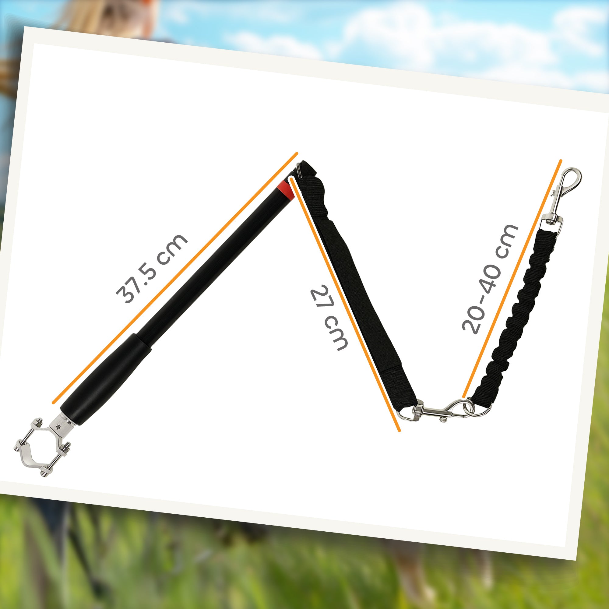 PawHut Dog Lead for Bicycle, Dog Leash for Cycling, Training, Jogging, Black - North Peak Garden Furniture