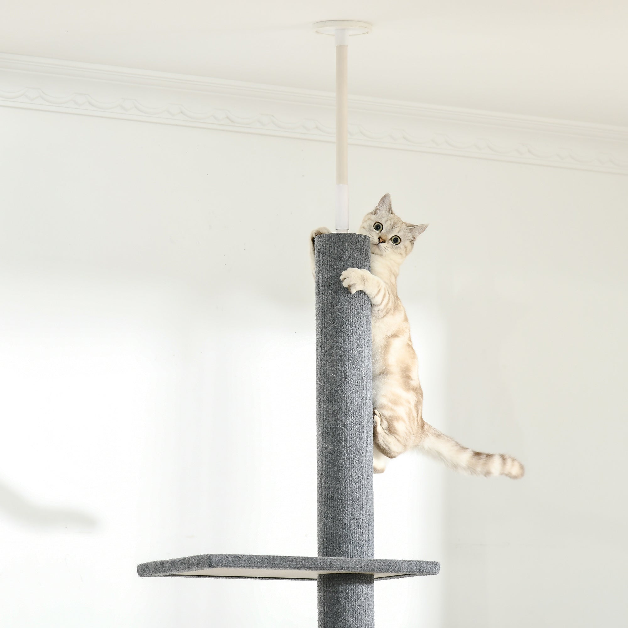 PawHut 260cm Floor To Ceiling Cat Tree for Indoor Cats w/ Three Platforms Activity Centre - Grey - North Peak Garden Furniture