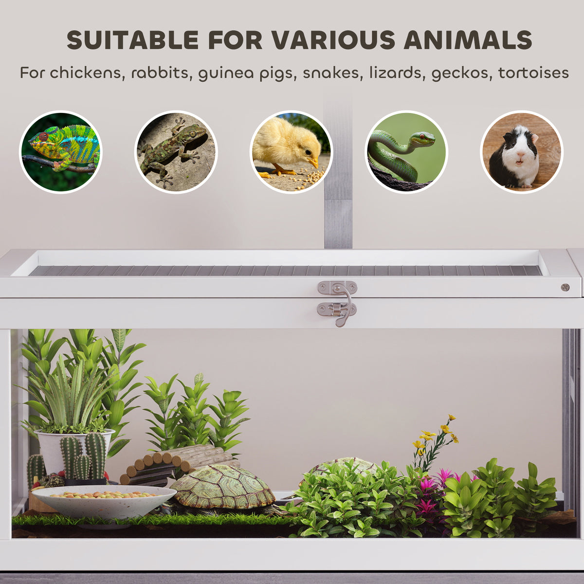 PawHut Wooden Tortoise House with Dual-Zone Habitat, Clear Panels, Openable Top, Metal Mesh, for Tortoises and Small Pets, Grey