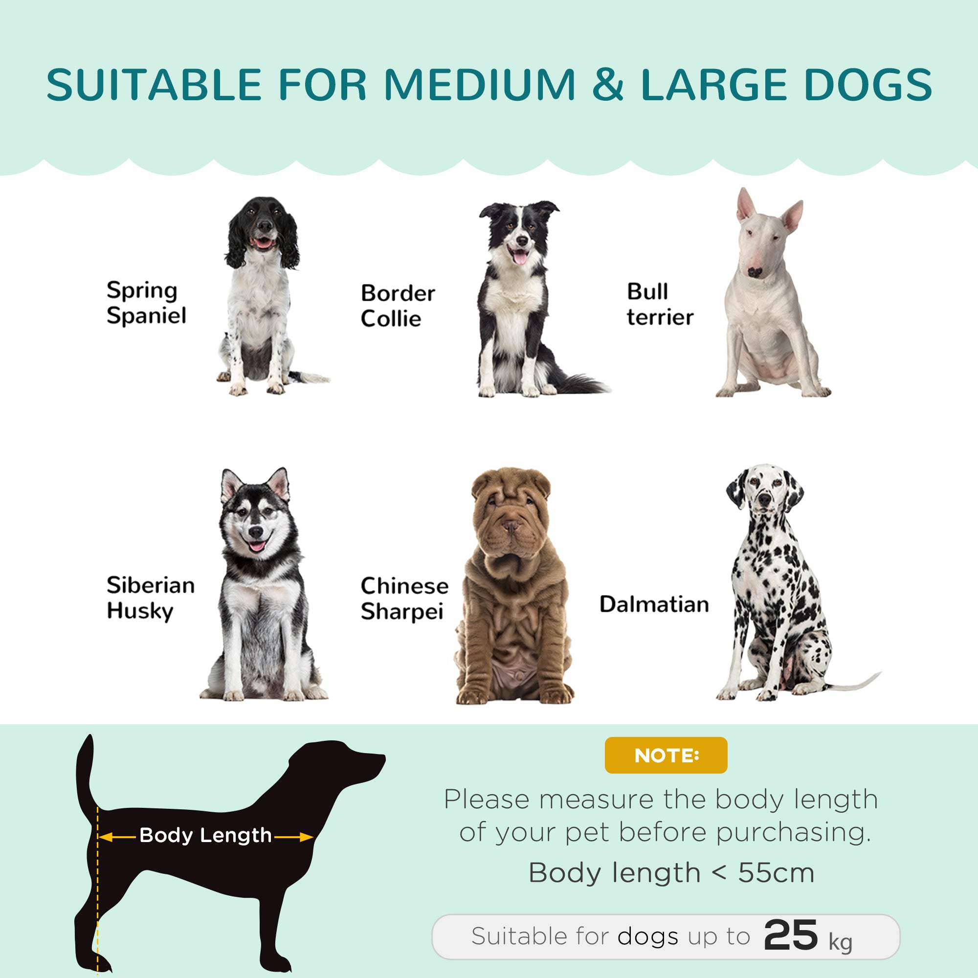 PawHut Dog Sofa, Pet Couch Bed for Medium, Large Dogs, with Legs, Cushion - Green - North Peak Garden Furniture