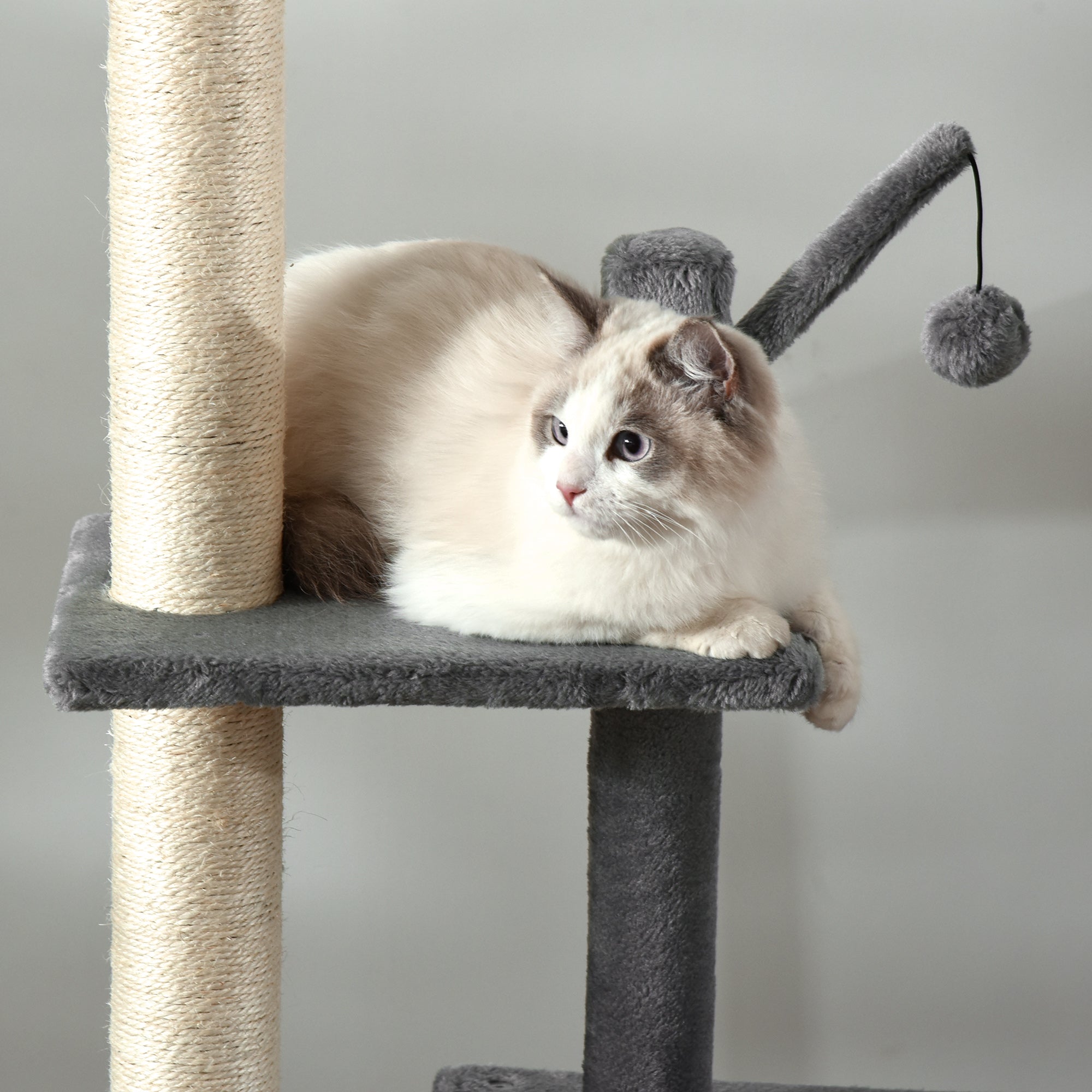PawHut 270cm Floor To Ceiling Cat Tree Cat House Scratching Post for Indoor Cats Hammock Hanging Ball Activity Center Grey - North Peak Garden Furniture