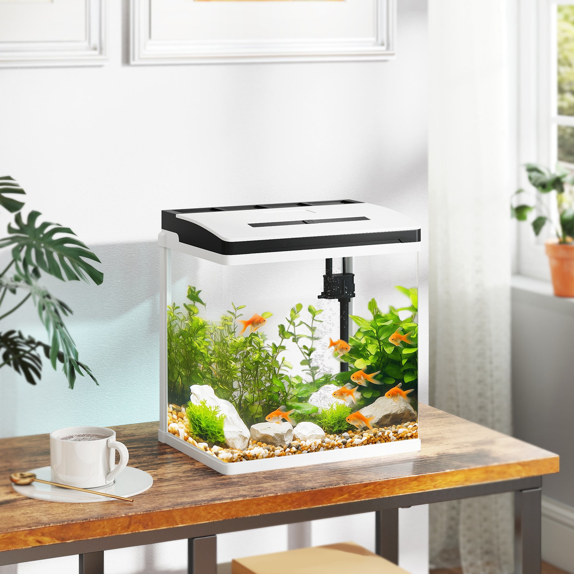 PawHut 13L Glass Aquarium Fish Tank with Filter, LED Lighting, for Betta, Guppy, Mini Parrot Fish, Shrimp, 29 x 20 x 30.5cm - North Peak Garden Furniture
