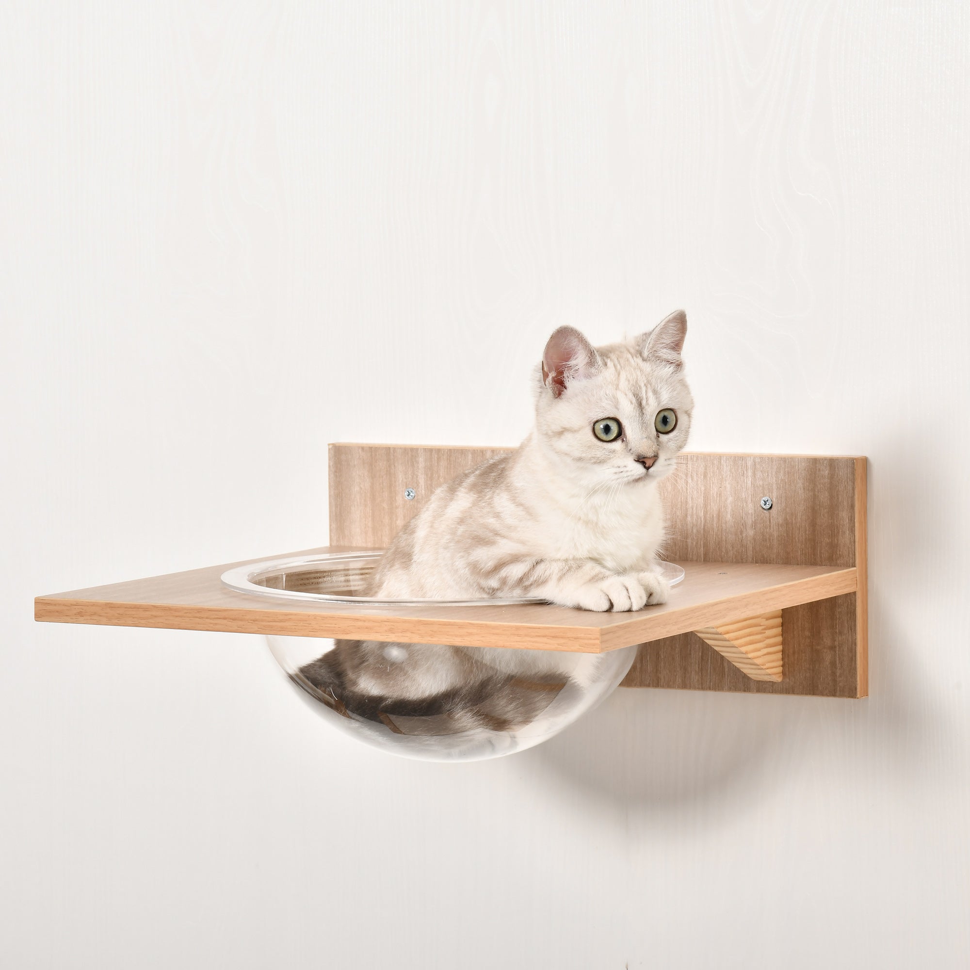 PawHut 4PCs Wall-mounted Cats Climbing Shelf Set Cat Tree Kitten Perch Activity Center with Hammock Scratching Post Jumping Platform Brown - North Peak Garden Furniture