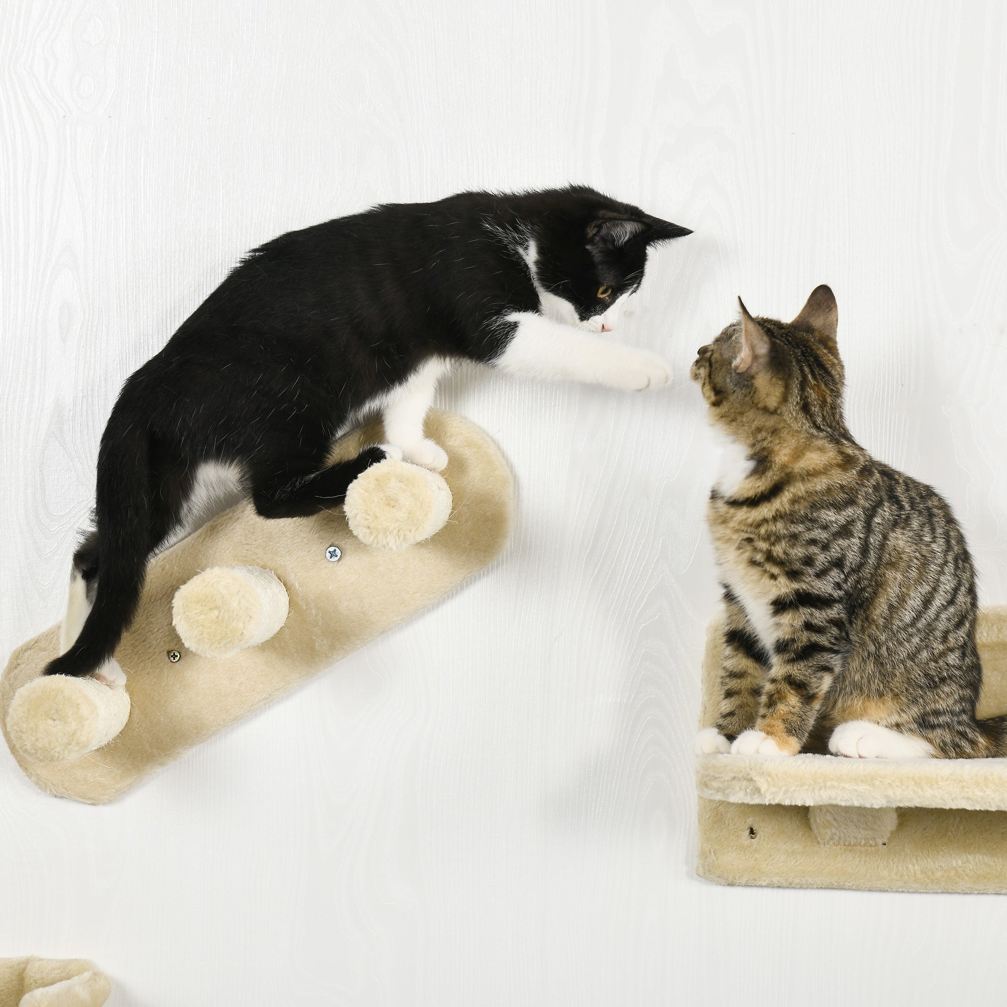 PawHut 4PCs Wall-Mounted Cat Shelves w/ Scratching Post, Hammock, Nest - Beige - North Peak Garden Furniture