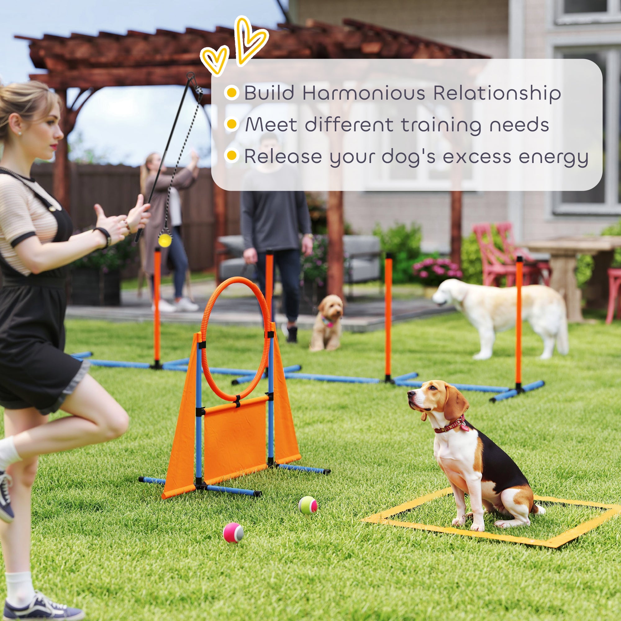 PawHut 7-Piece Dog Agility Equipment Set with Weave Poles, Jump Ring and Hurdle, Pause Box and Carry Bag, Orange - North Peak Garden Furniture