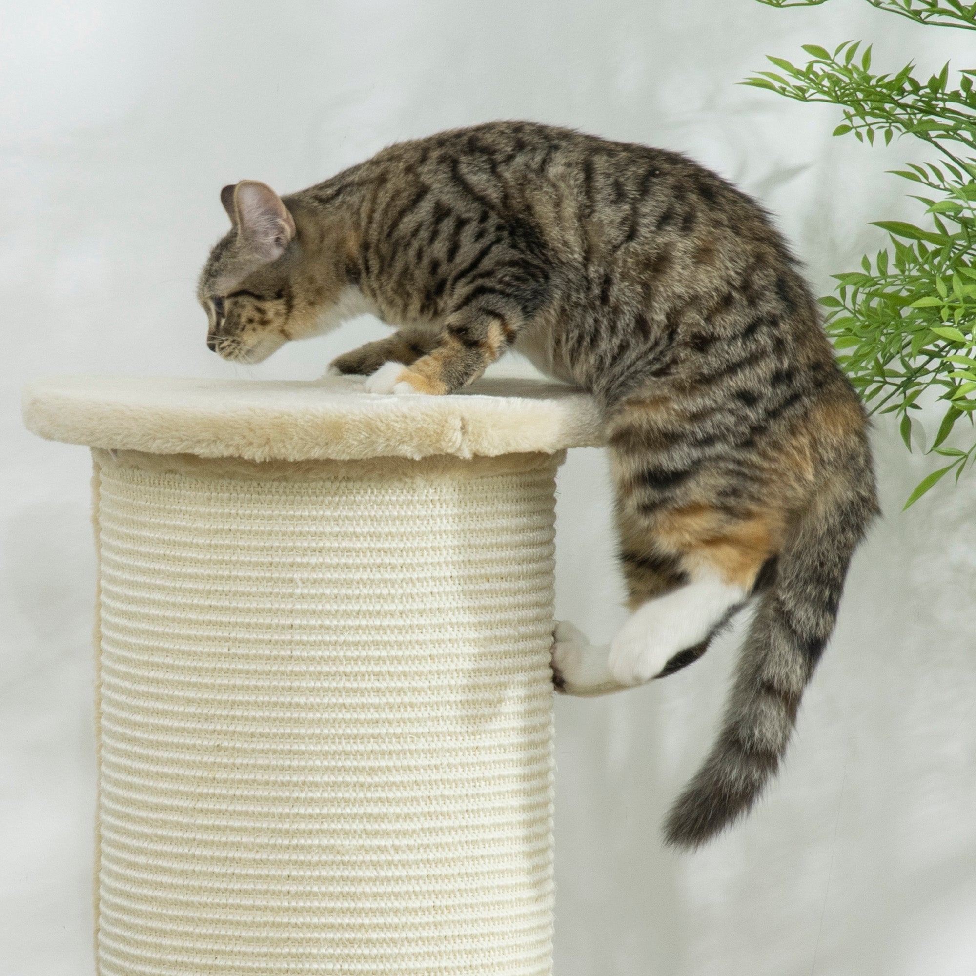 PawHut 85cm Tall Cat Scratching Post, with Sisal Rope, Soft Plush, Anti Tip - Beige - North Peak Garden Furniture