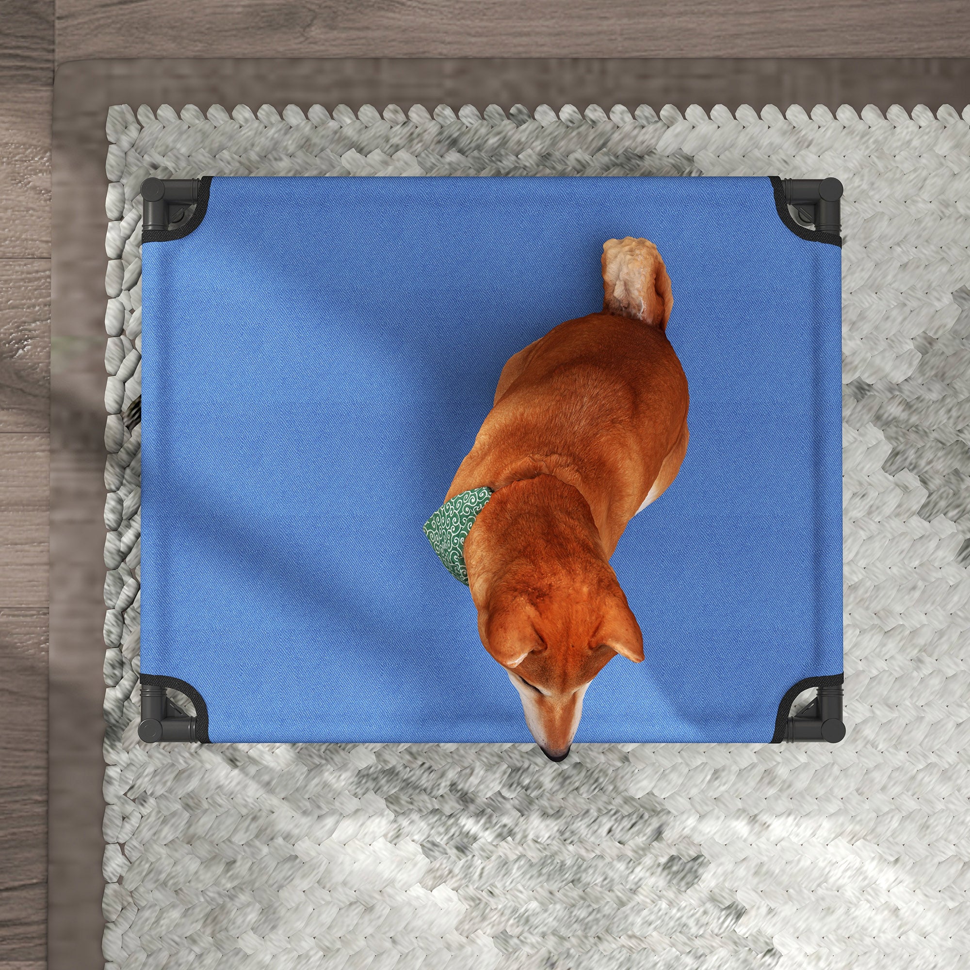 PawHut Raised Dog Bed Cat Elevated Lifted Portable Camping w/ Metal Frame Blue (Medium) - North Peak Garden Furniture